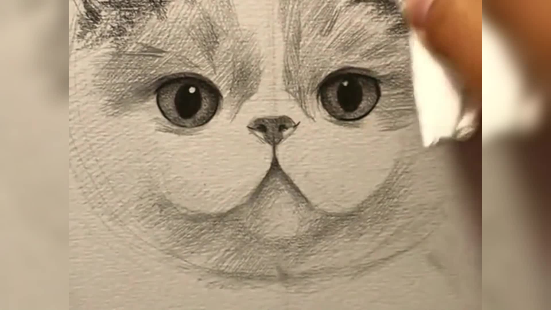 如何画猫画t
