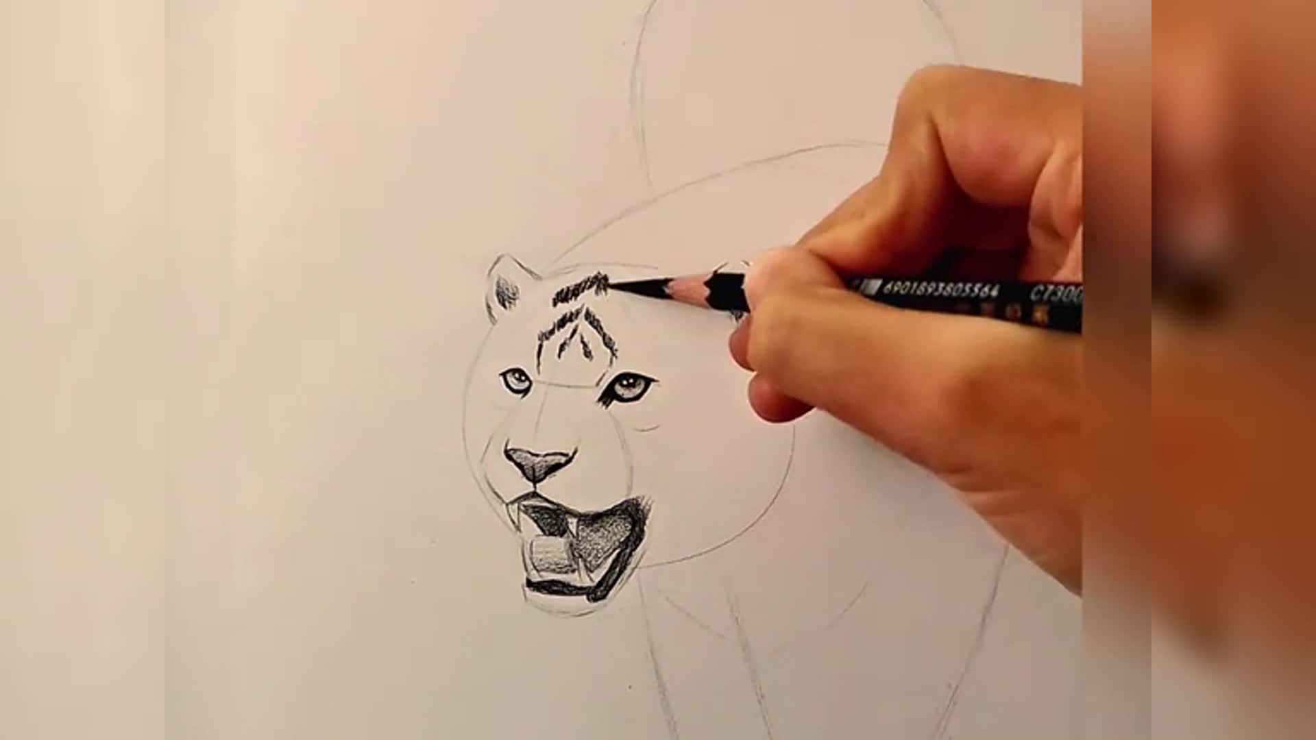 如何绘制老虎完整的铅笔绘图