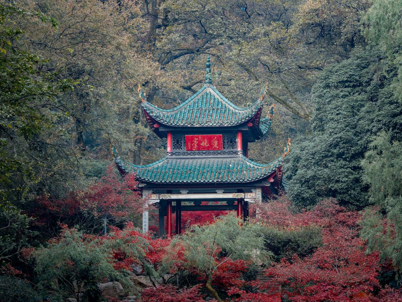 岳麓山风景照图片