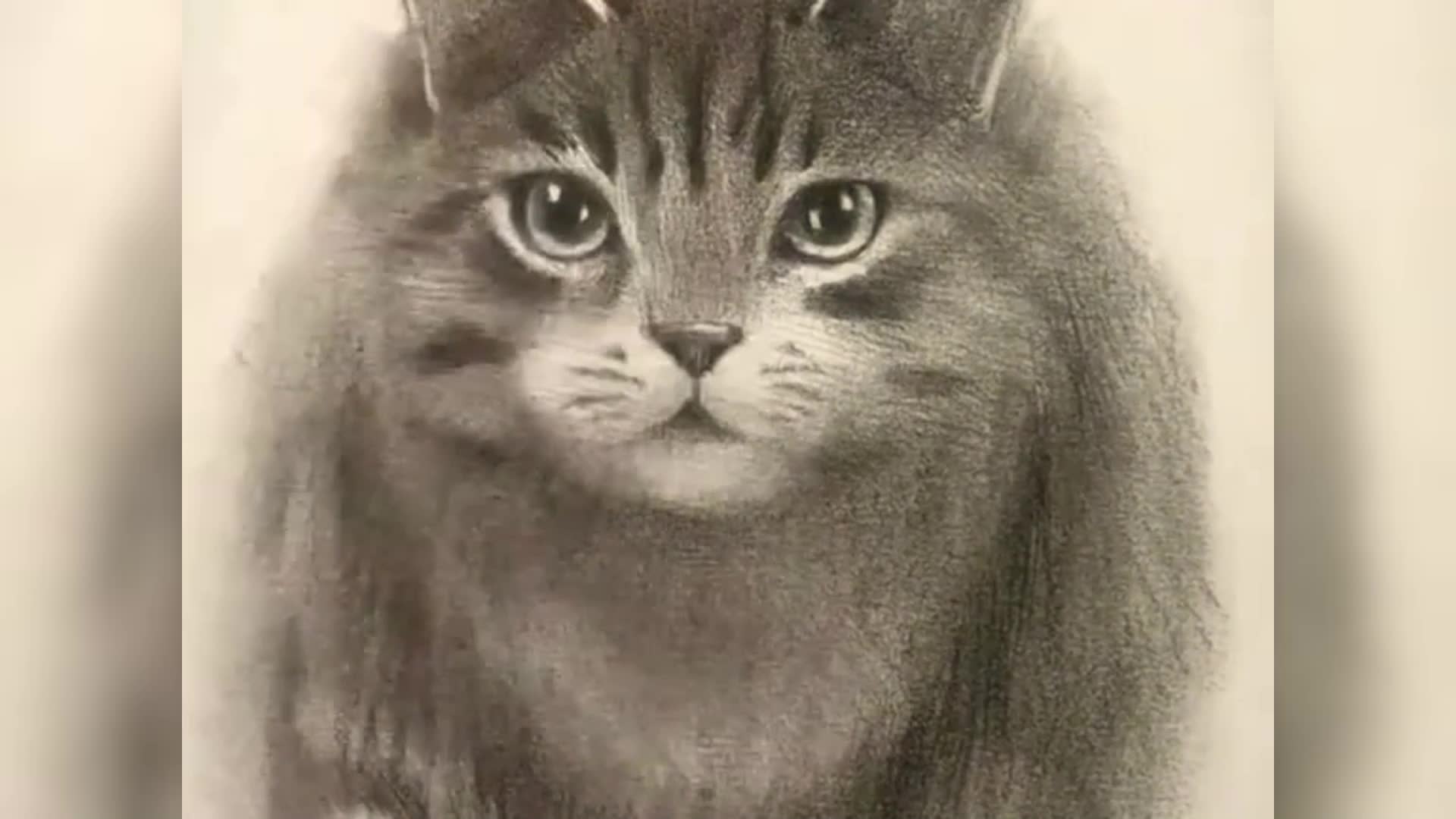 猫咪怎么画比较可爱图片