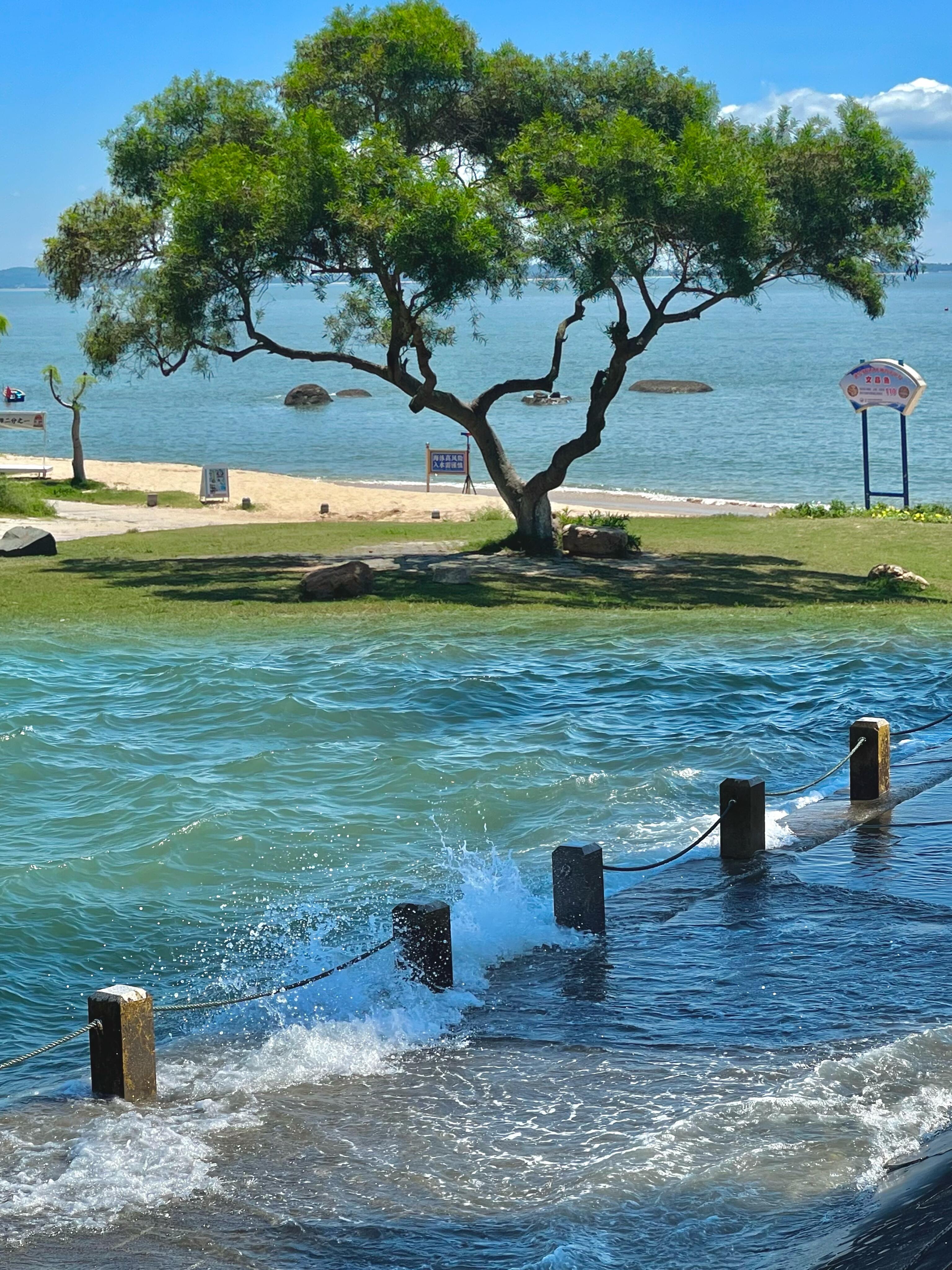 炎热的夏天,在厦门最适合citywalk的!