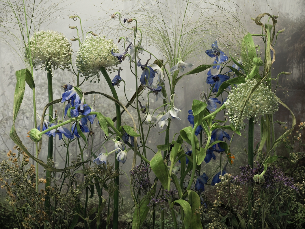 2024索尼世界摄影奖|创意组获奖作品欣赏