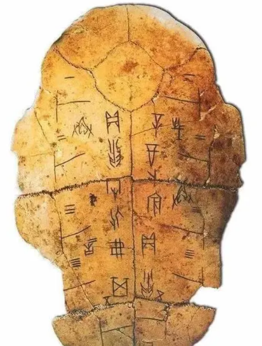 比如后来我们发现的甲骨文,大多数都是被刻在龟甲上的.