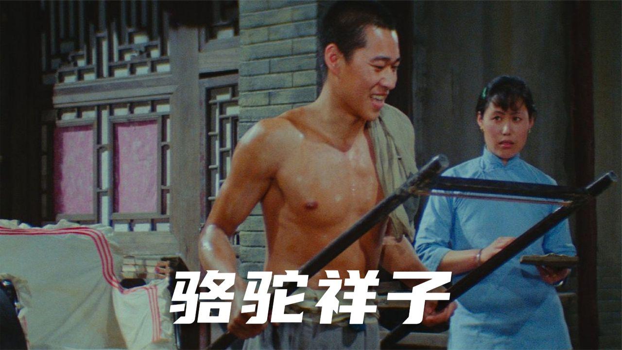 回顾霍凡:嫁给大12岁二婚张丰毅,29年未生子女,却被丈夫宠成宝