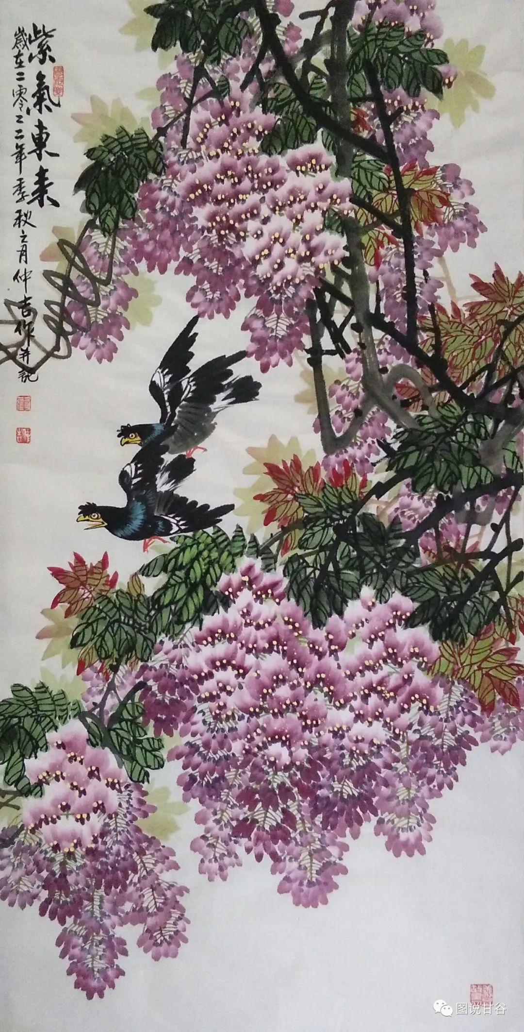 专访霍仲吉(下):天水有个"活葡萄"