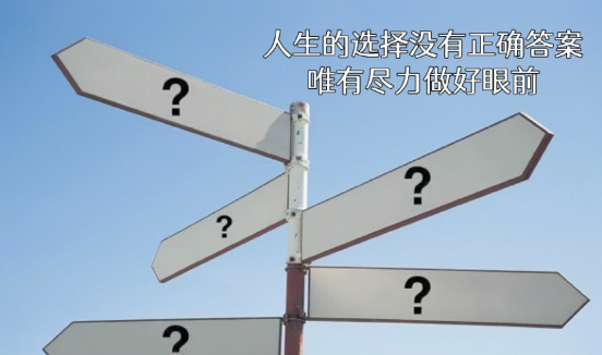 一书中,有这样一句话:"人生的选择没有正确答案,唯有尽力做好眼前