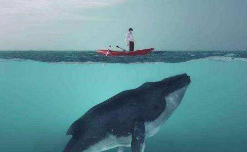 回顾:在鲸鱼腹中是一种什么感觉?一个手无寸铁的人,没有机会逃生?