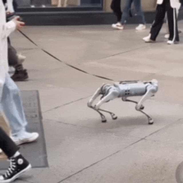 遛机器狗排队很累,为什么不坐着呢?