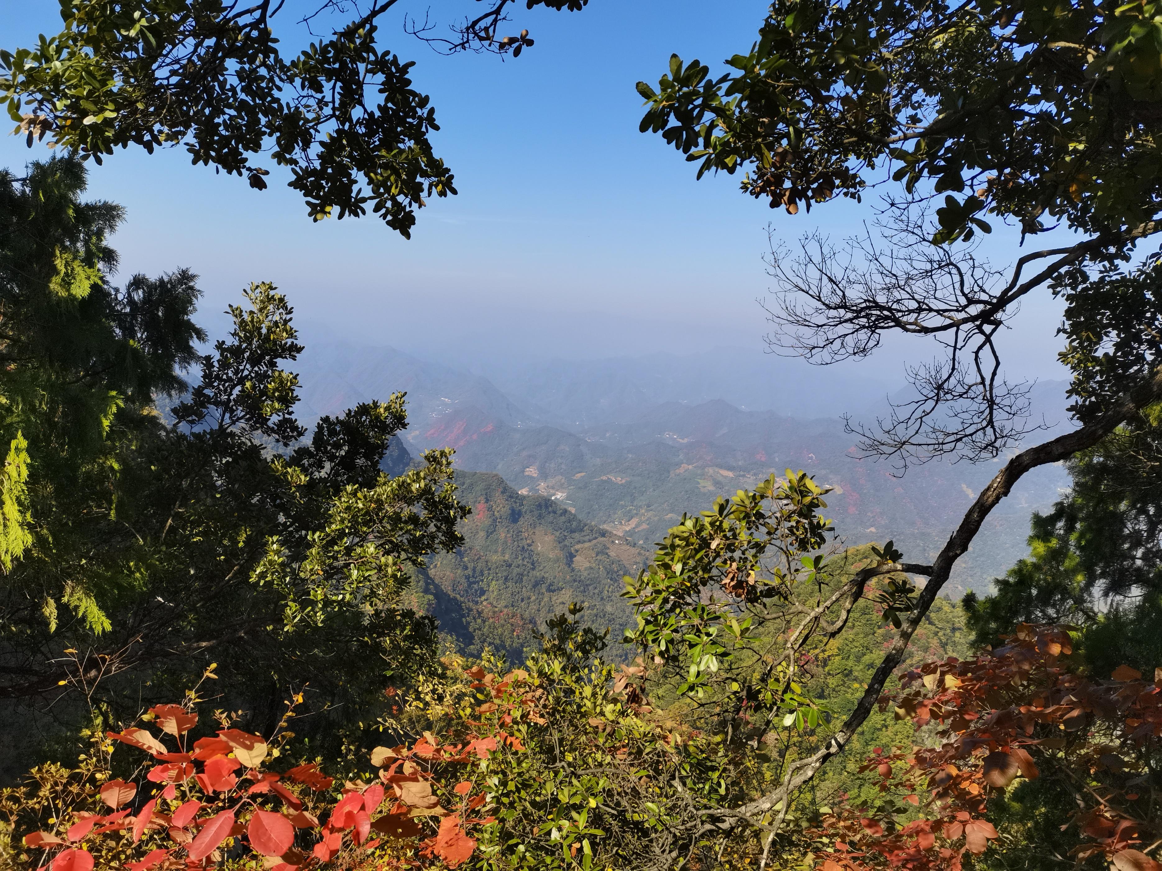 刚出狱的同学对我有一饭之恩,借给他三万元,没想到救了两家人