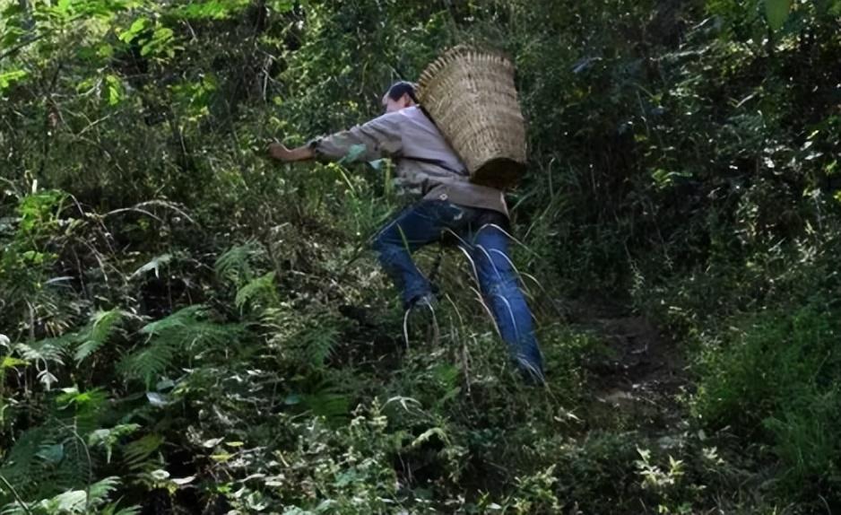2008年他背疯娘求学,13年后再引轰动:活成自己"讨厌"的样子