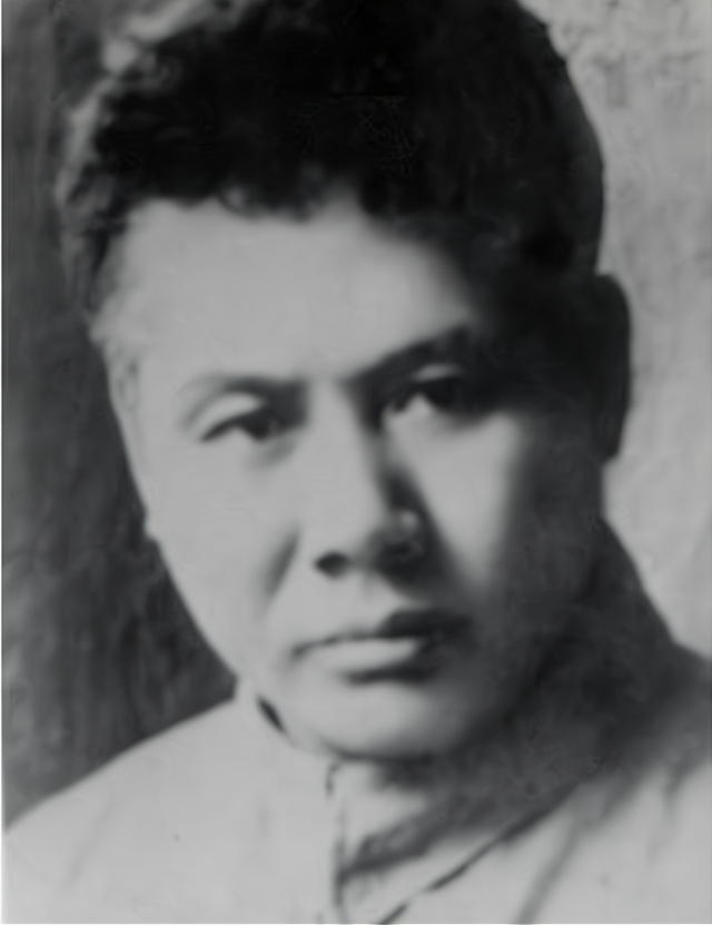 父亲失踪14年,1949年儿子被省委书记叫去谈话,才知:他是特工