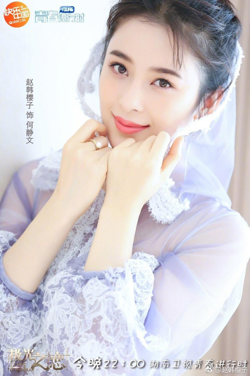 赵韩樱子电视剧极光之恋温婉的何静文