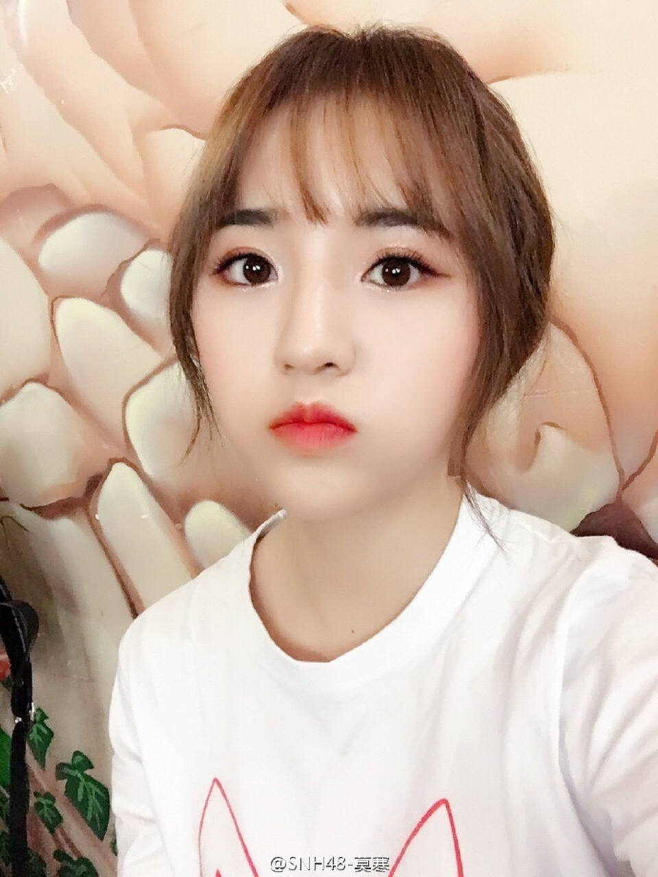 莫寒是很四平八稳的偶像,粉她不必担心各种私联等乱七八糟的问题,她的