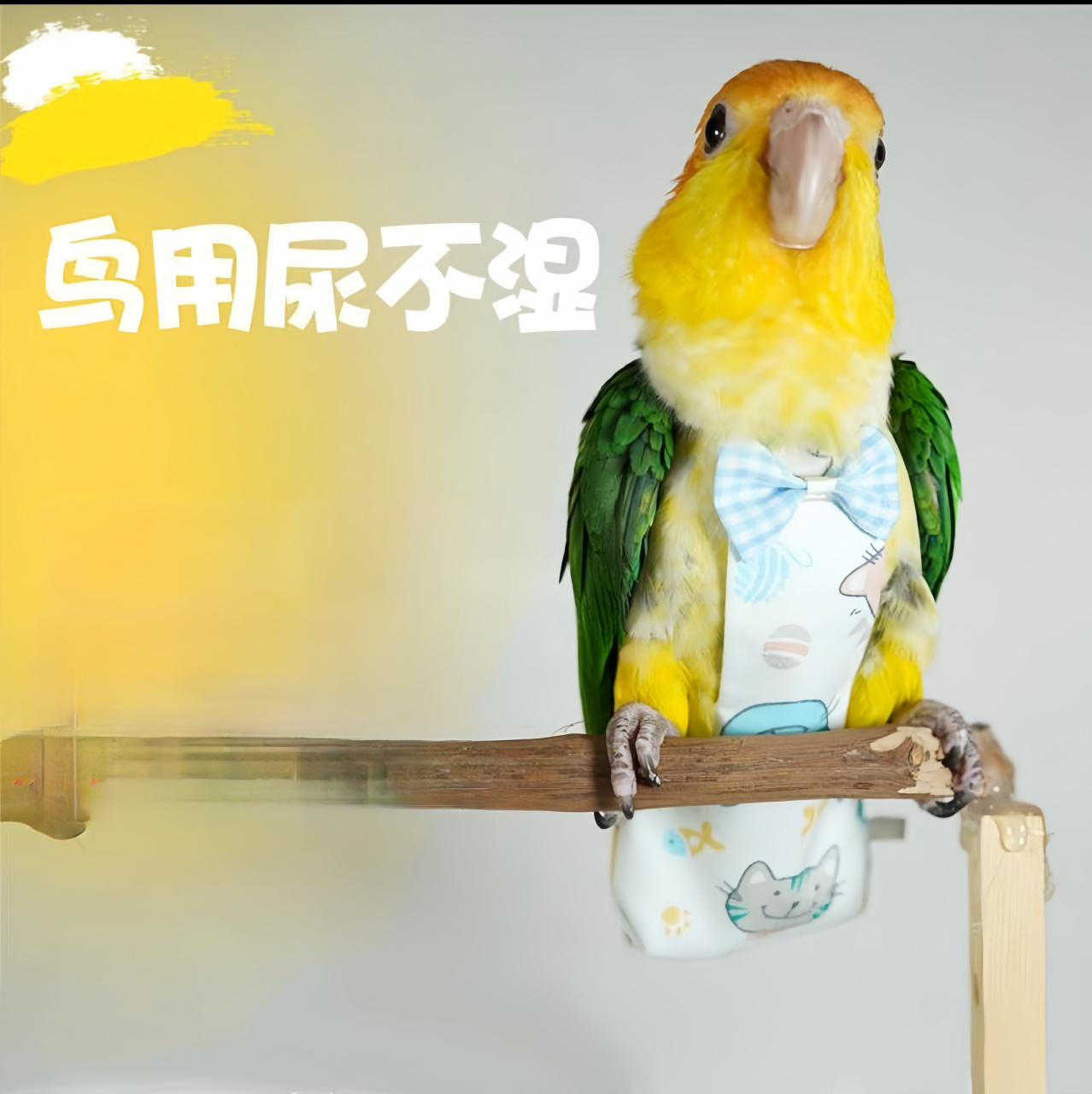 居然都有鸟专用的尿不湿了,我估计小鸟这辈子也没有想到自己能用上