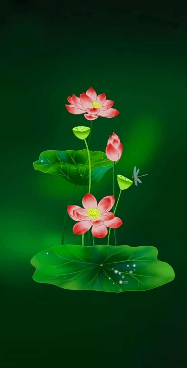 和气生财,好运连连,翠绿的荷叶与纯净的莲花,古风韵味尽显,犹如一幅