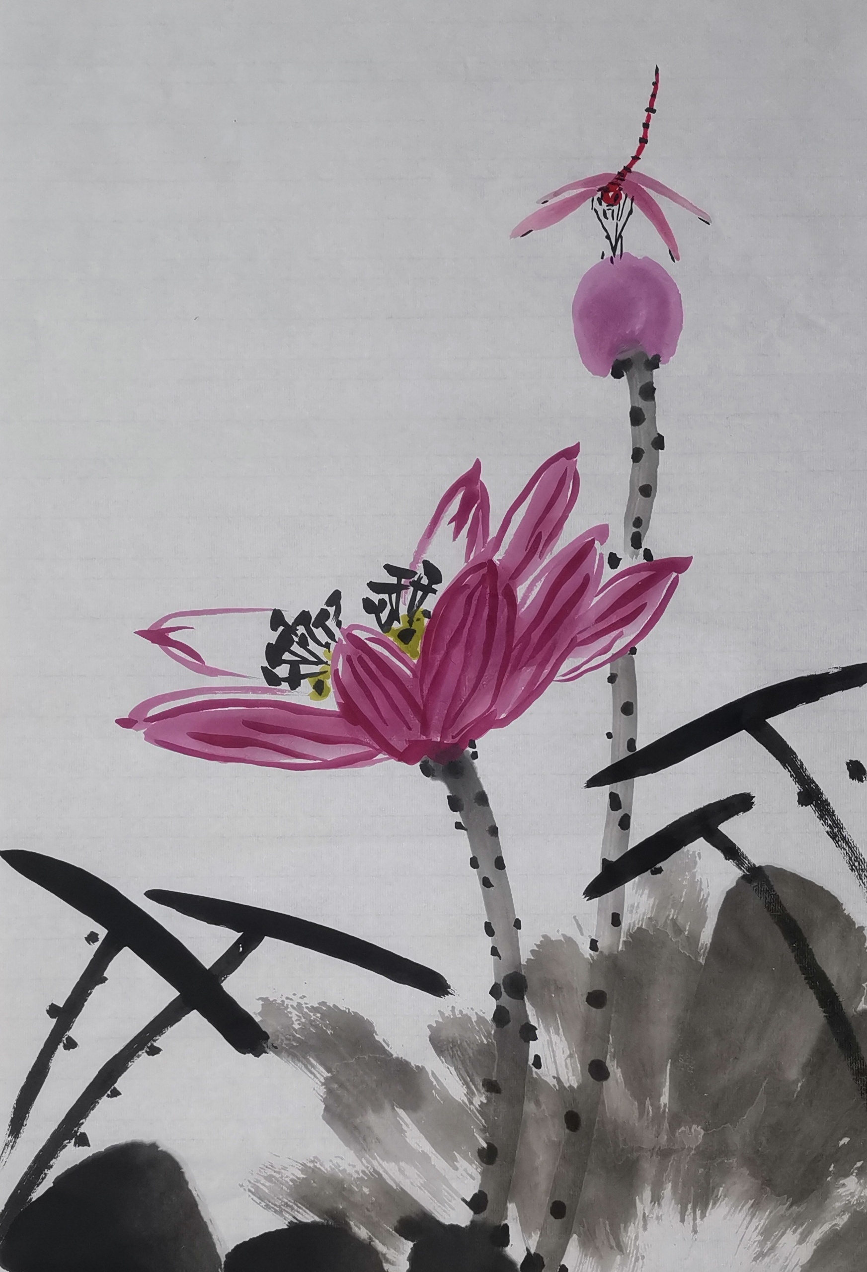 国画中的写意蜻蜓