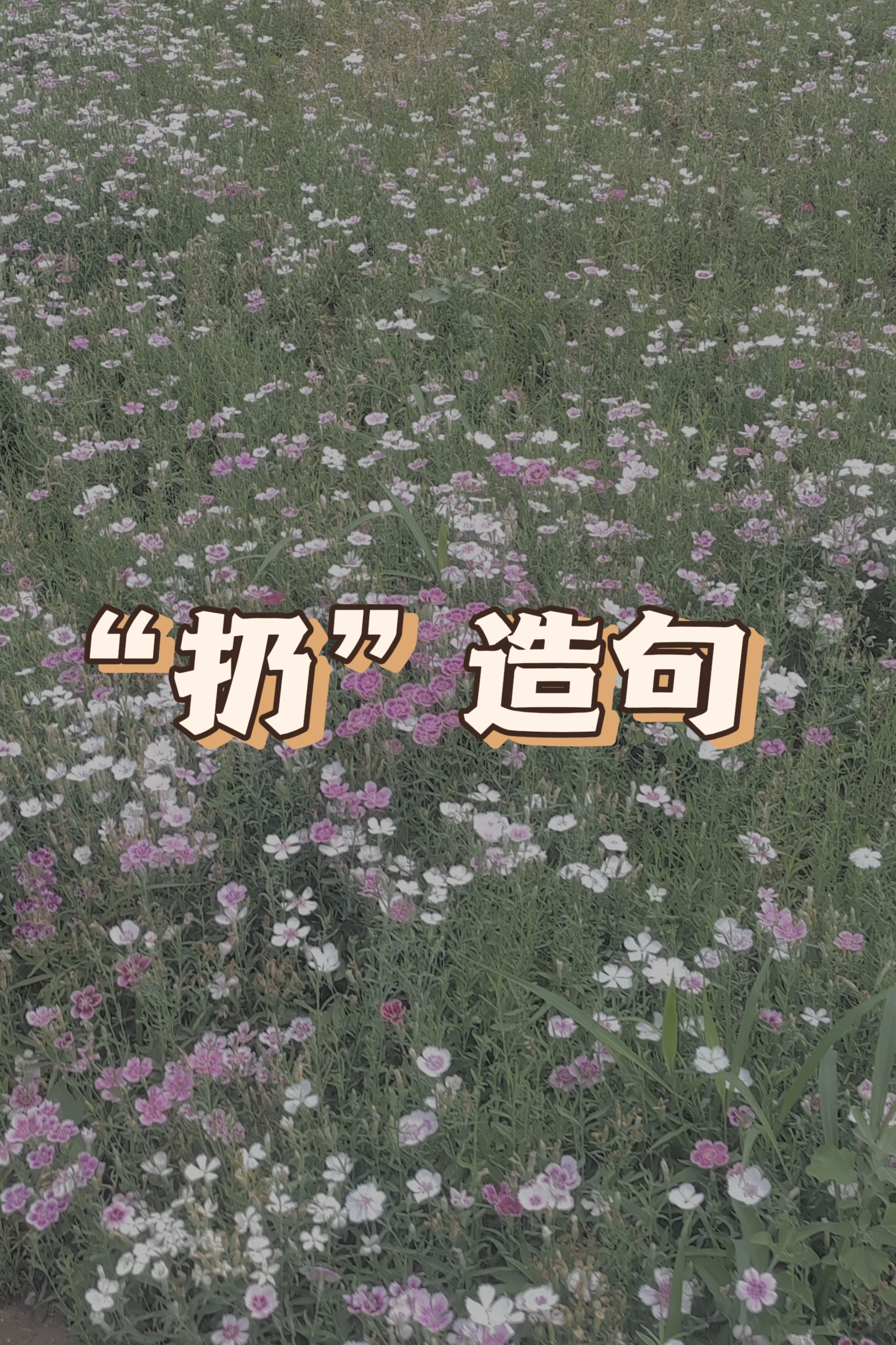 [心]这句话中,"扔"一词表现了情绪激动时的行为,突显了主语的愤怒和