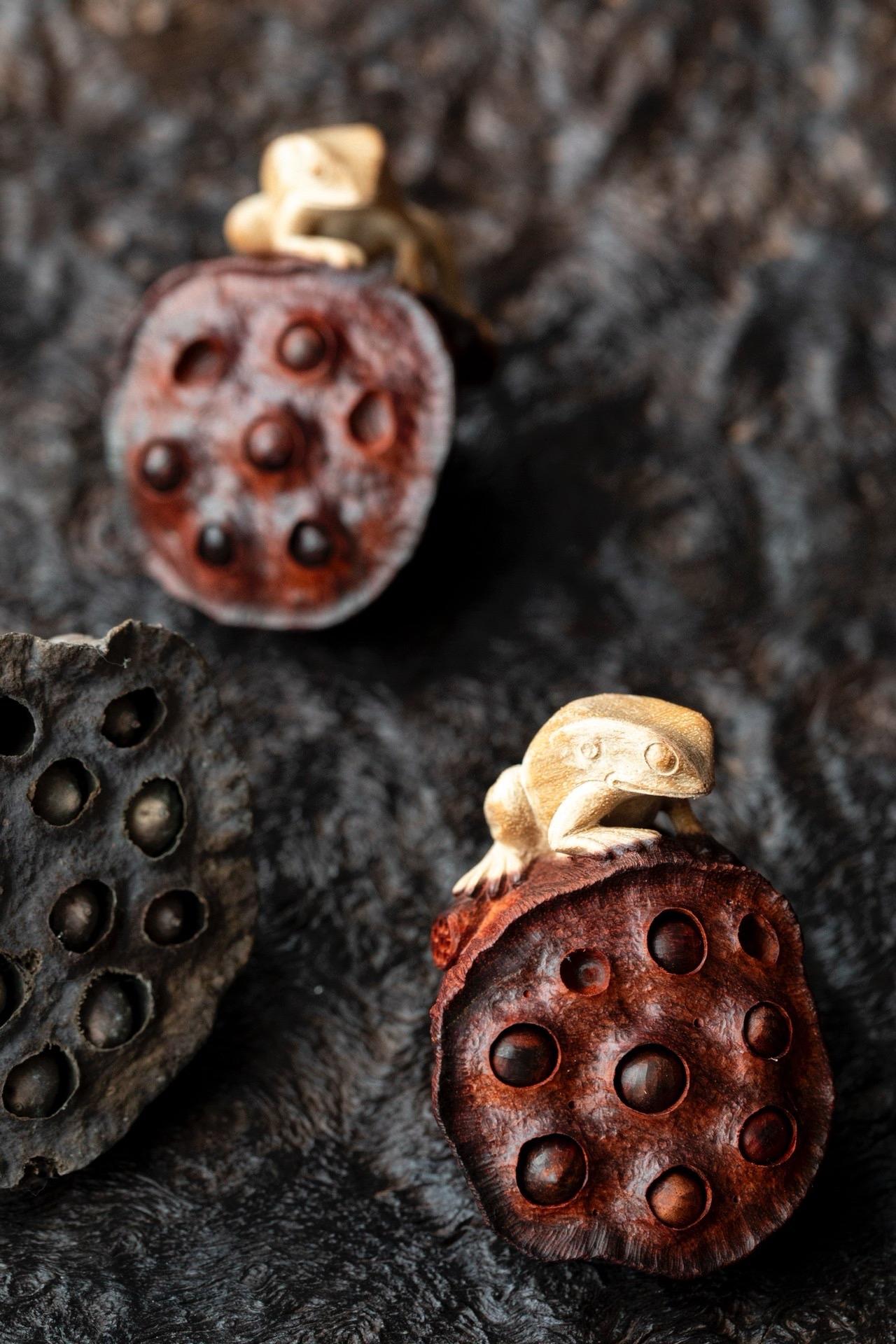 动态连更挑战# 小叶紫檀|莲蓬