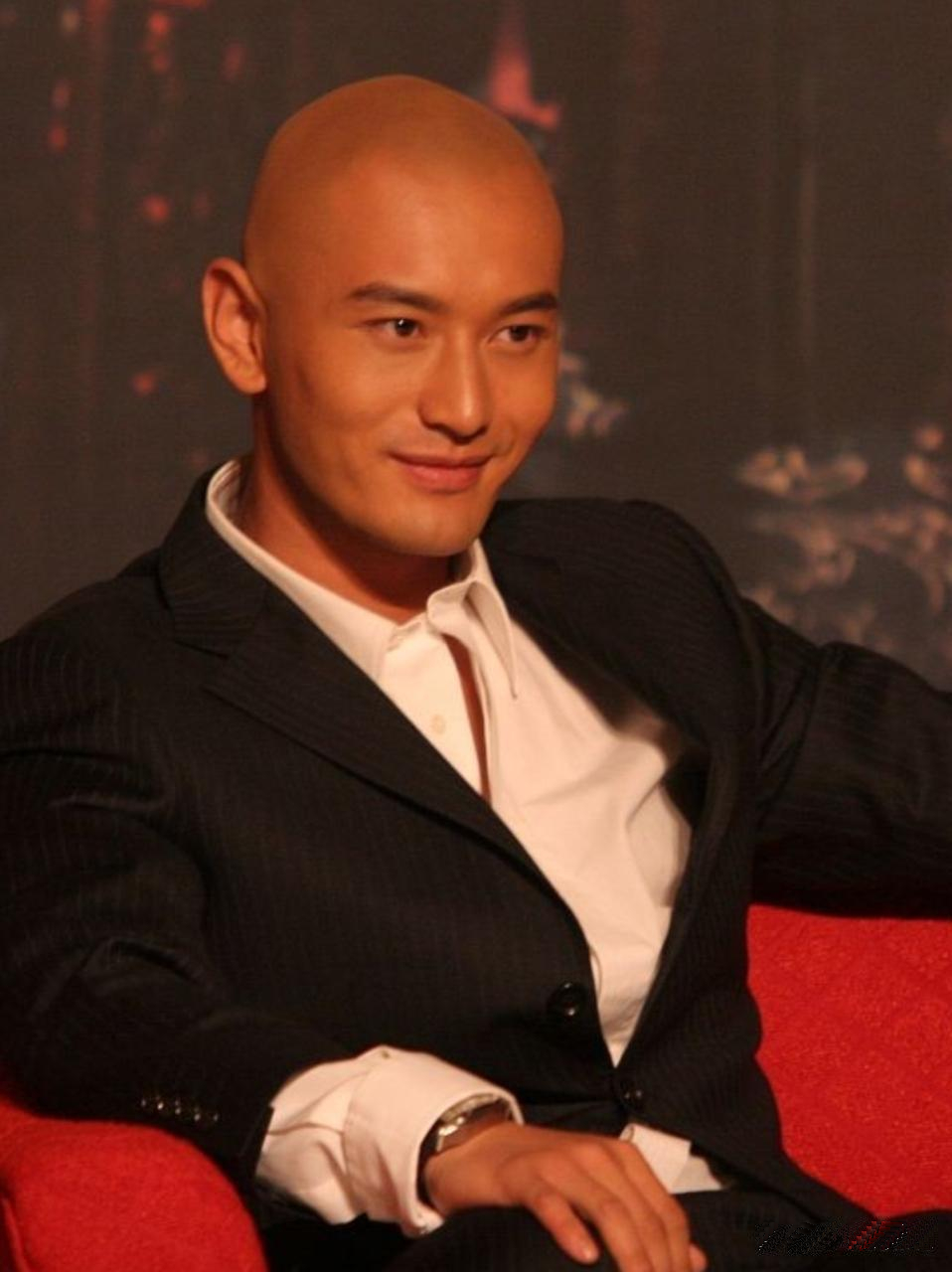 黄晓明鬓角植发(黄晓明鬓角植发了吗)