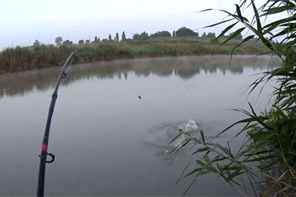 野钓大草鱼,首选矶竿滑漂钓法,可走钓可守钓