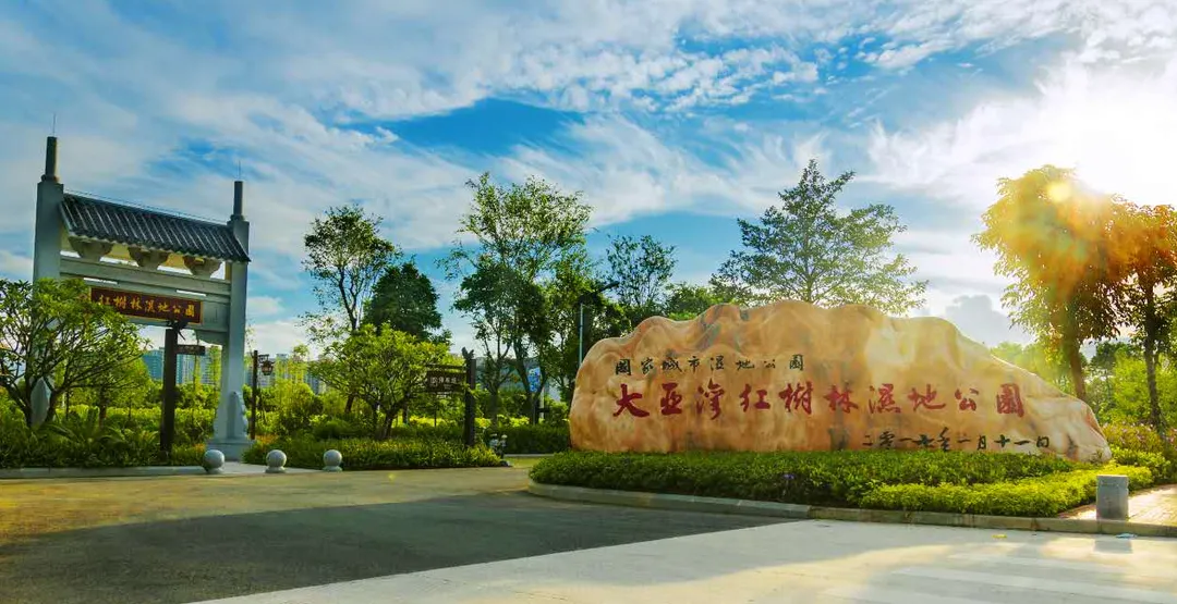 站在大亚湾虎头山顶大亚湾尽收眼底