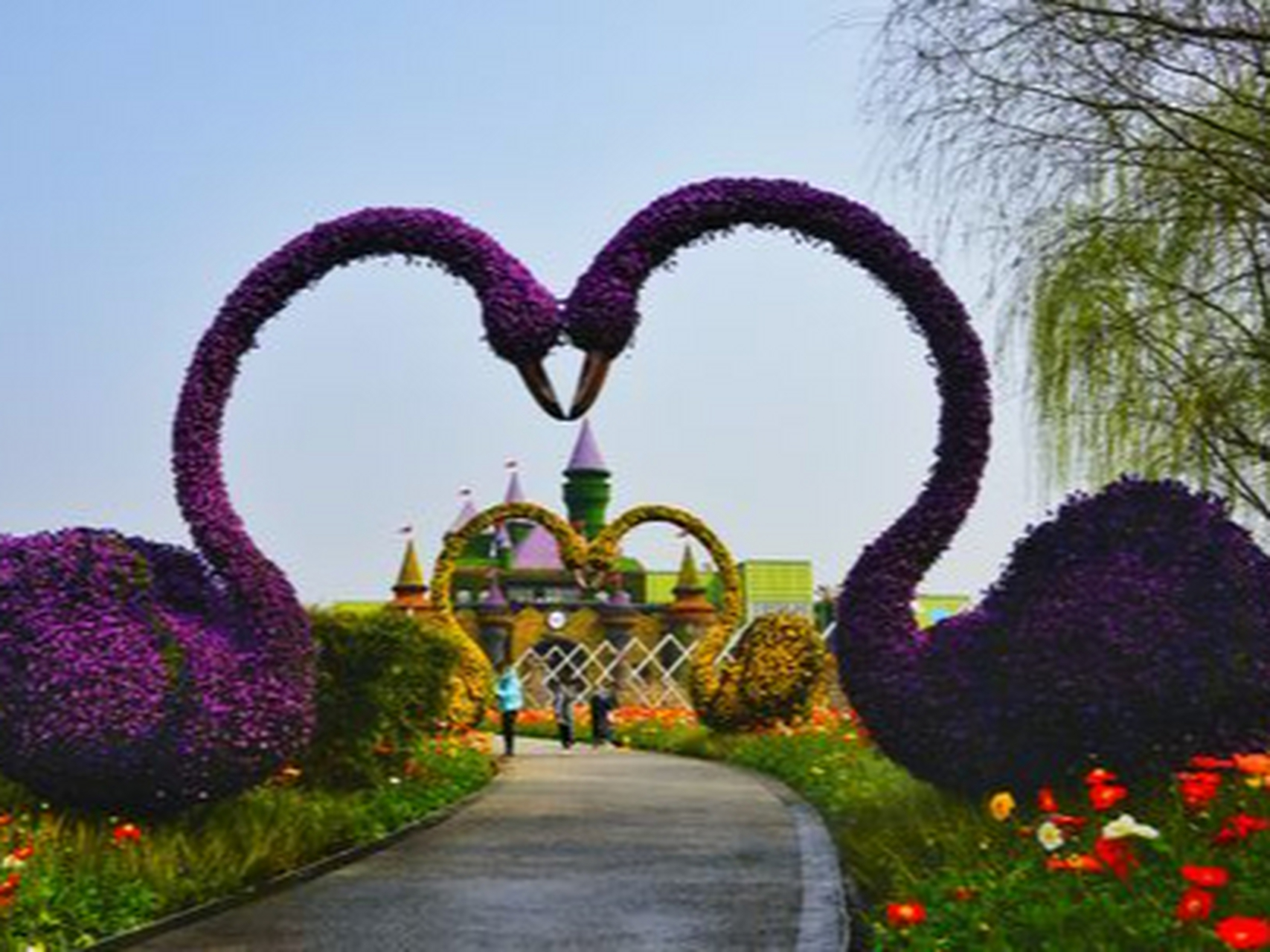 来安仁畅玩一夏#锦绣安仁奇境花园:这里是目前全国唯一的一个拥有两