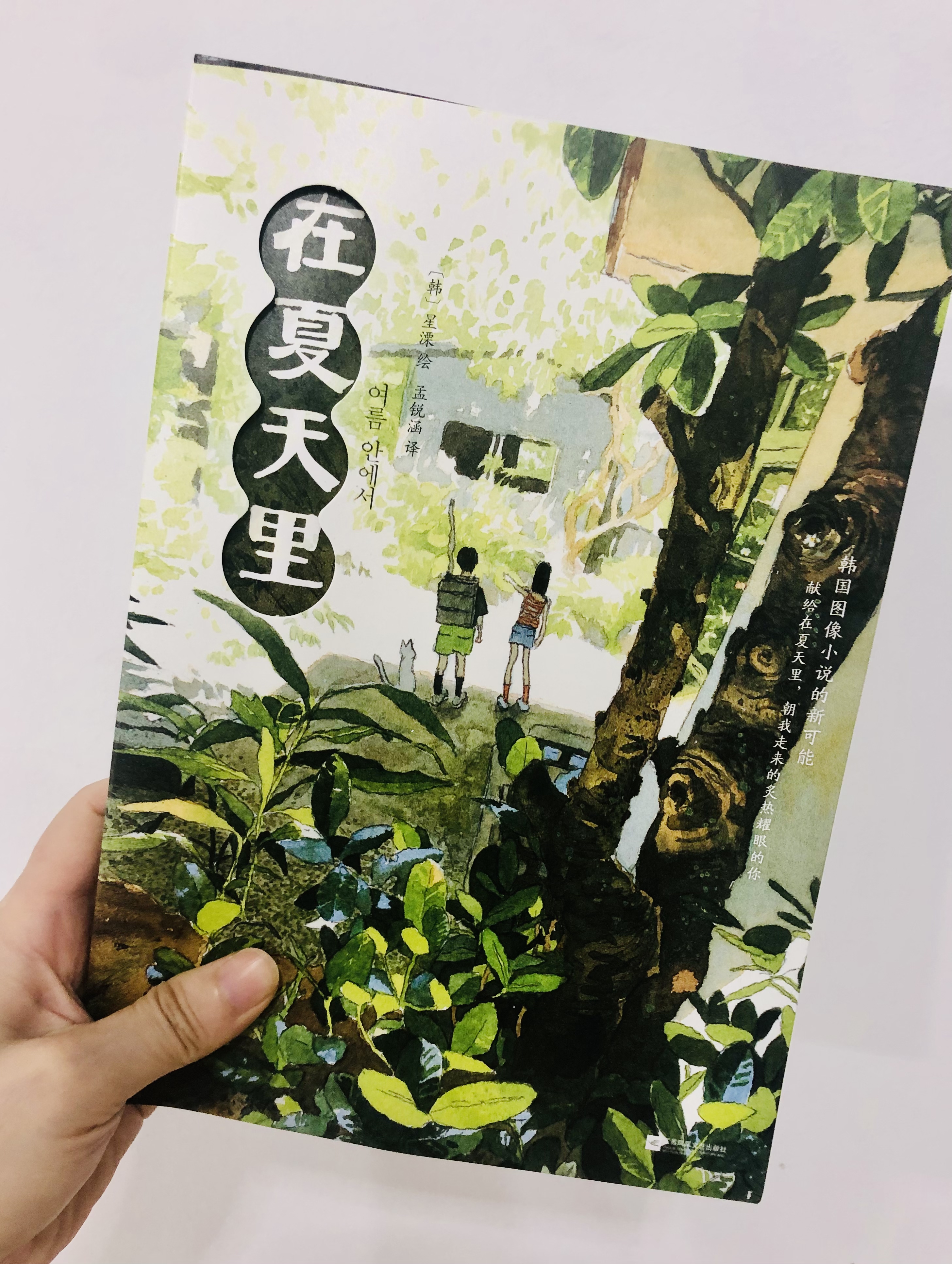 夏日之梦,最美好的相遇