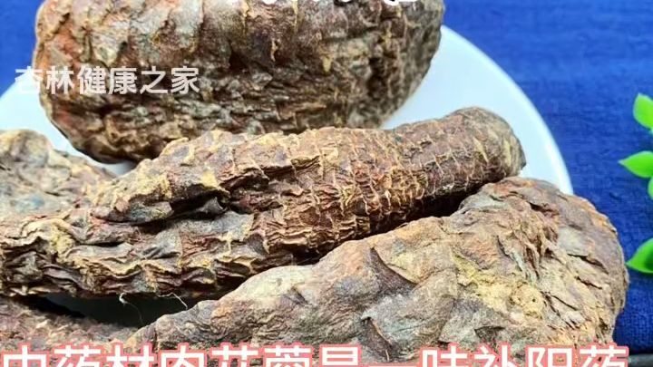 肉苁蓉大家快来了解一下吧