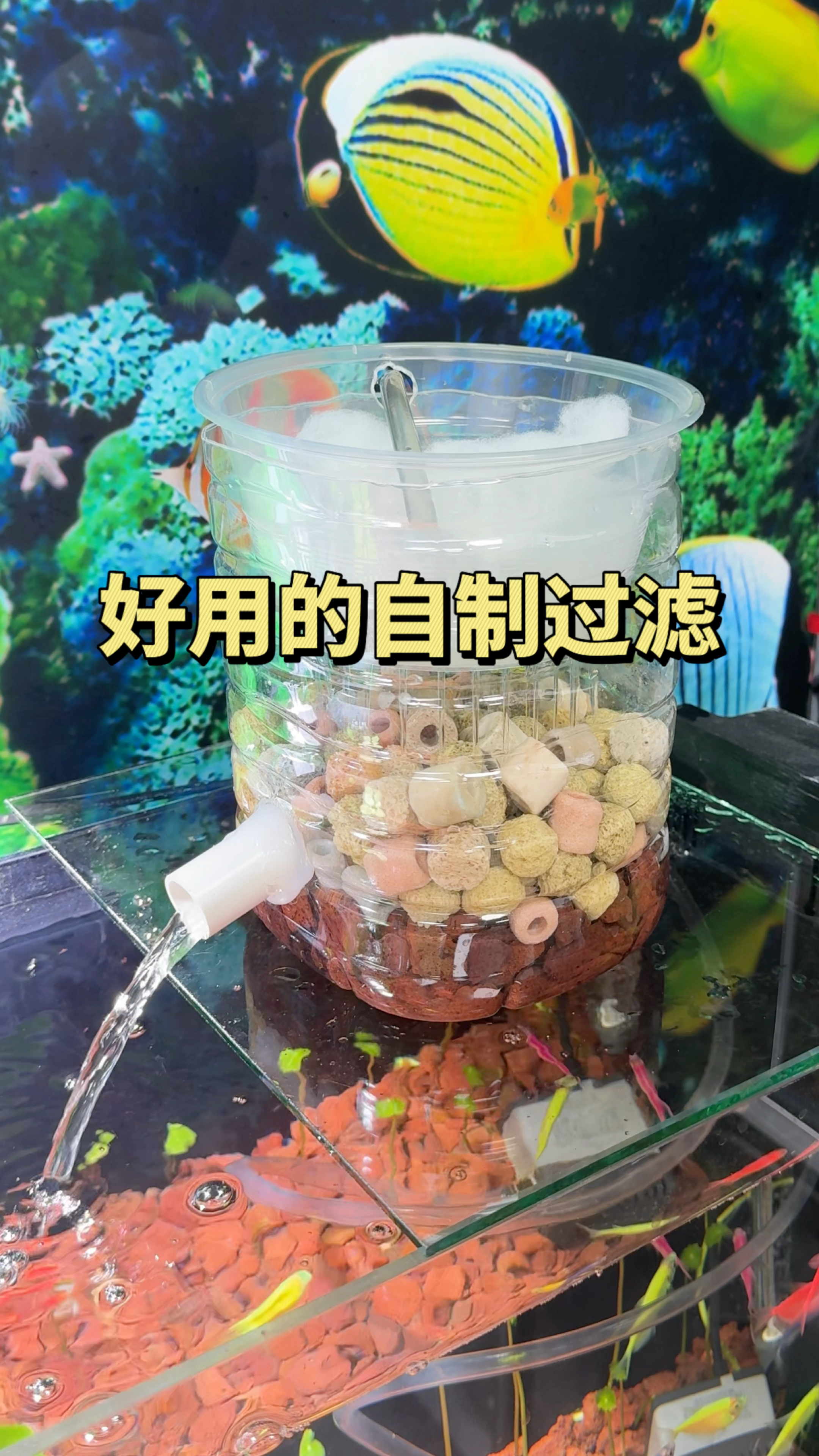 这个自制鱼缸过滤器 不仅实用 关键还不花钱  观赏鱼  养鱼日记