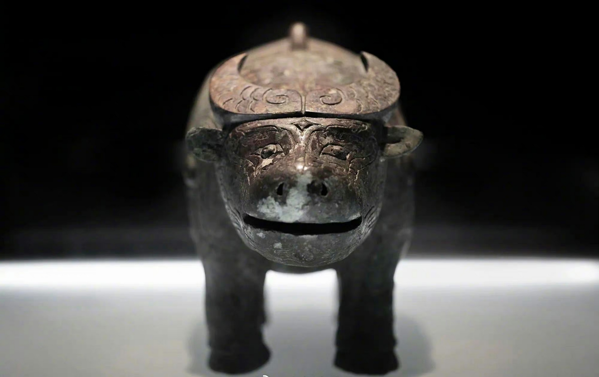 牛型青铜器——亚长牛尊,原型是野生水牛"圣水牛",因未被驯化,后来