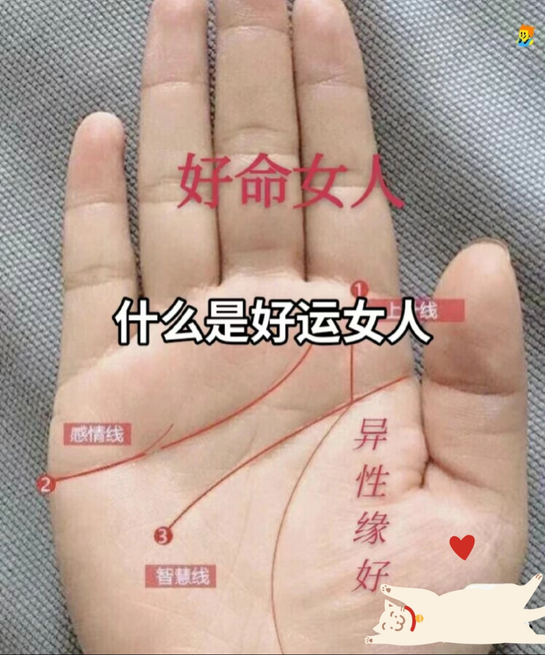 虽然每个人的手纹都不同,但基本上都会有三条线,但它们都有差异.
