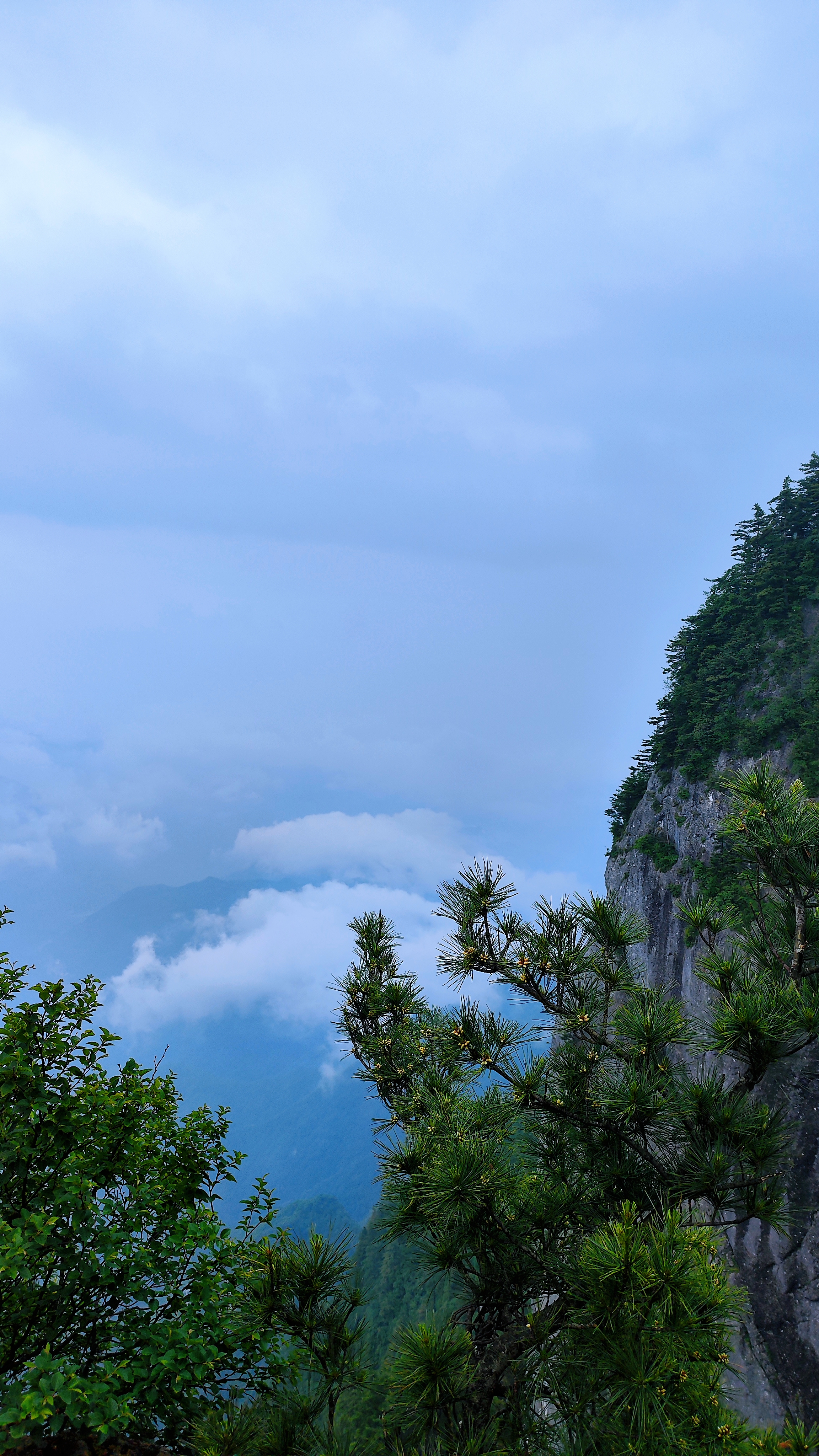 秦岭避暑必去的景点图片