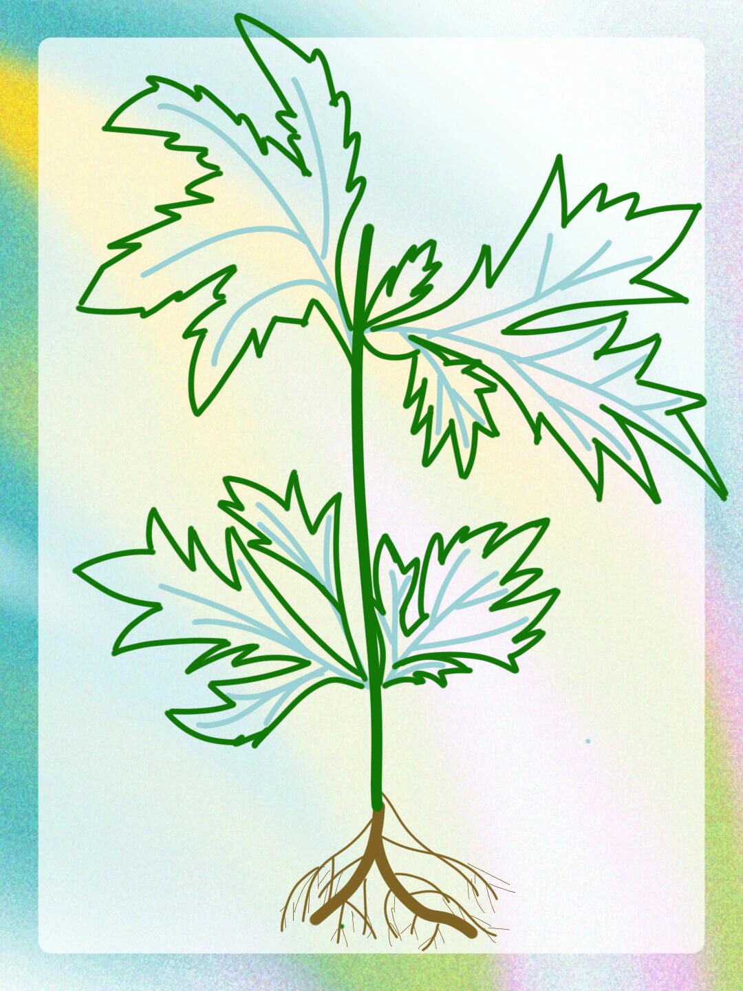 这么热的天,我看看谁跟我一样顶着大太阳去薅艾草