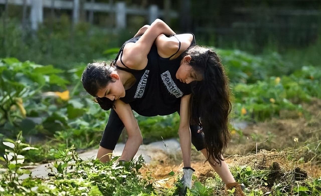 美国著名连体双胞胎共享身体,一个已婚想生孩子,另一个怎么办?