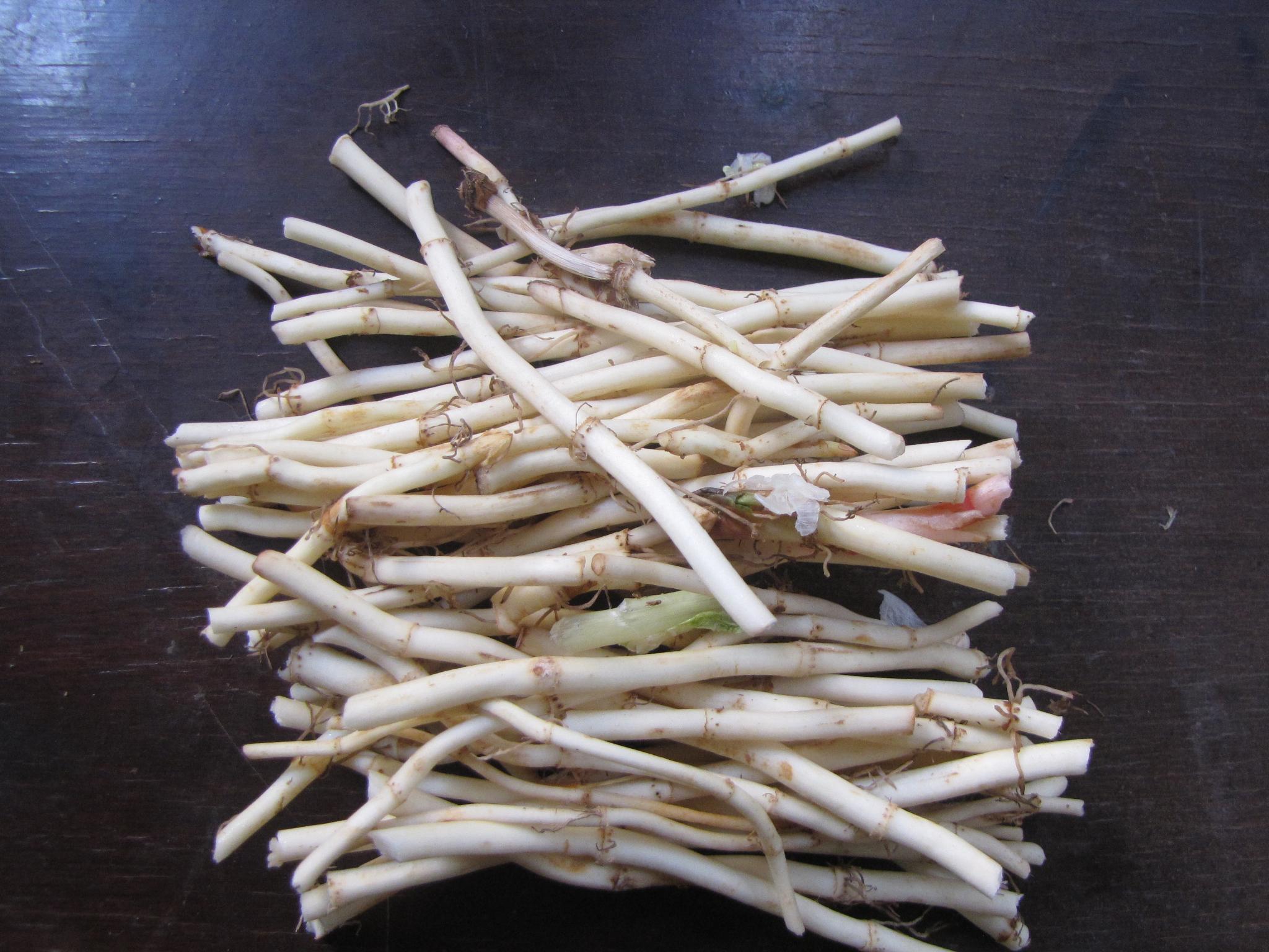 鱼腥草栽培,野菜也可以实现高产高效