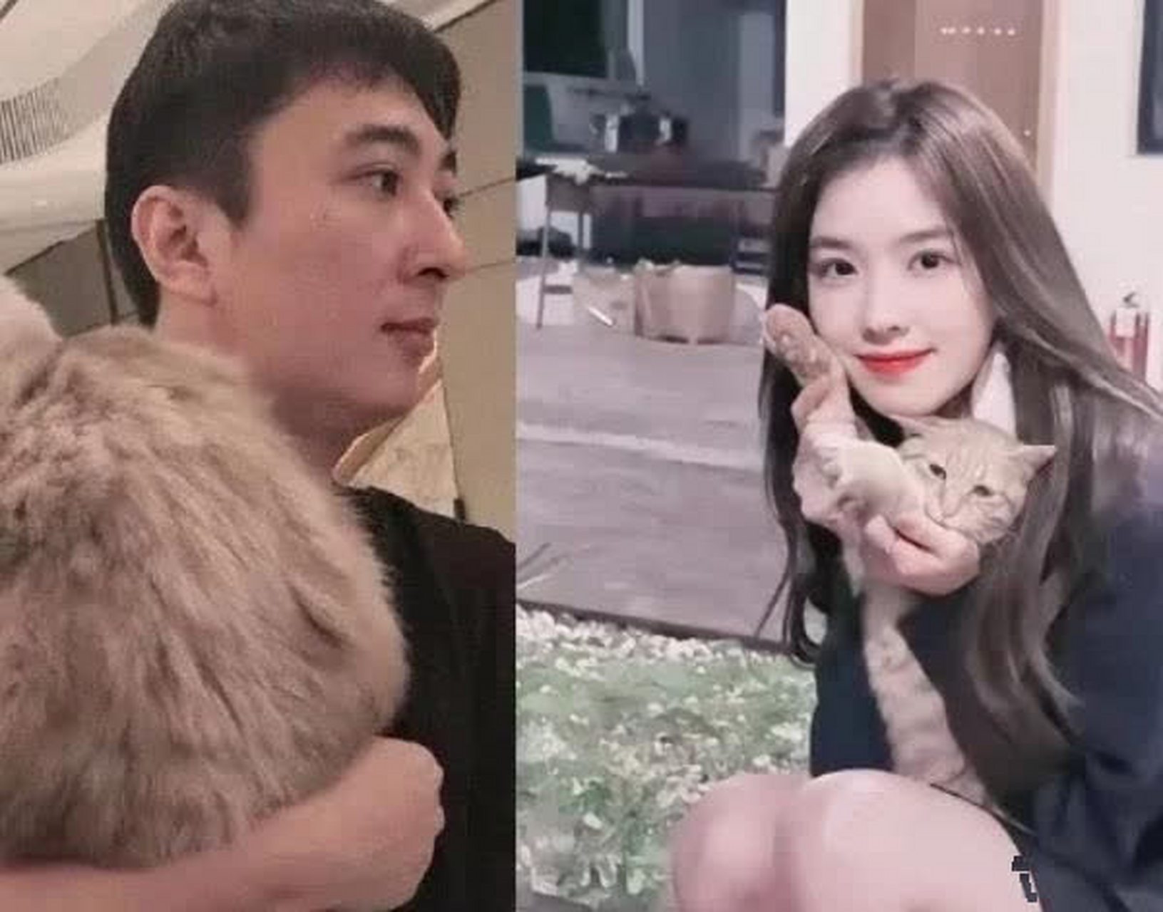 孙一宁对王思聪的"追求"丝毫不给面子