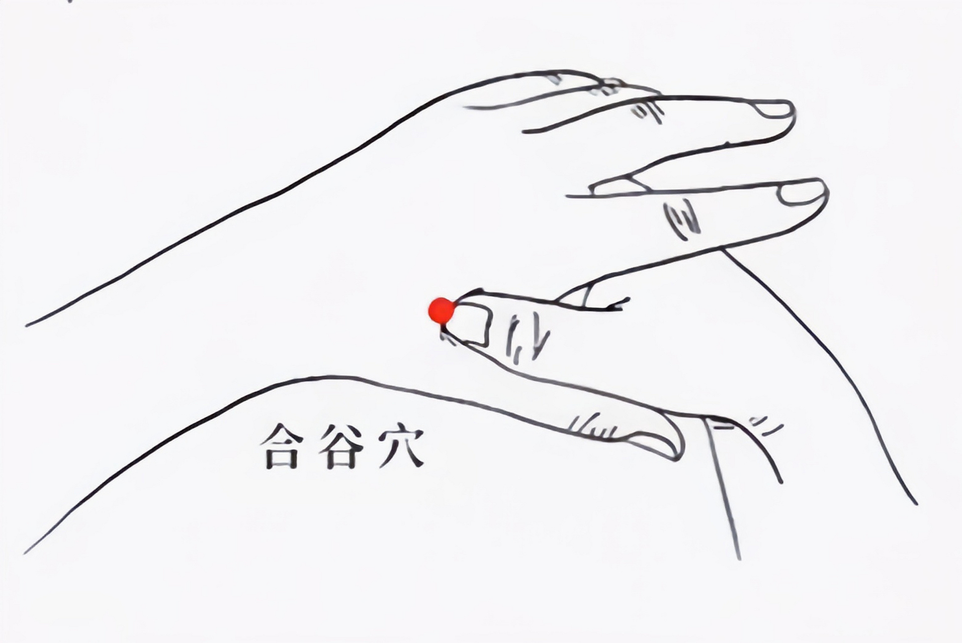 孩子过敏性鼻炎,鼻塞,擤不出鼻涕,下面分享的穴位按揉方法,家长可以试