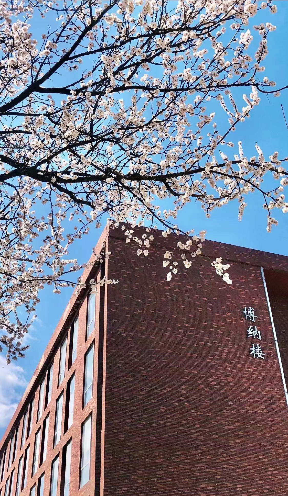 首都经济贸易大学2024年招生2774人!