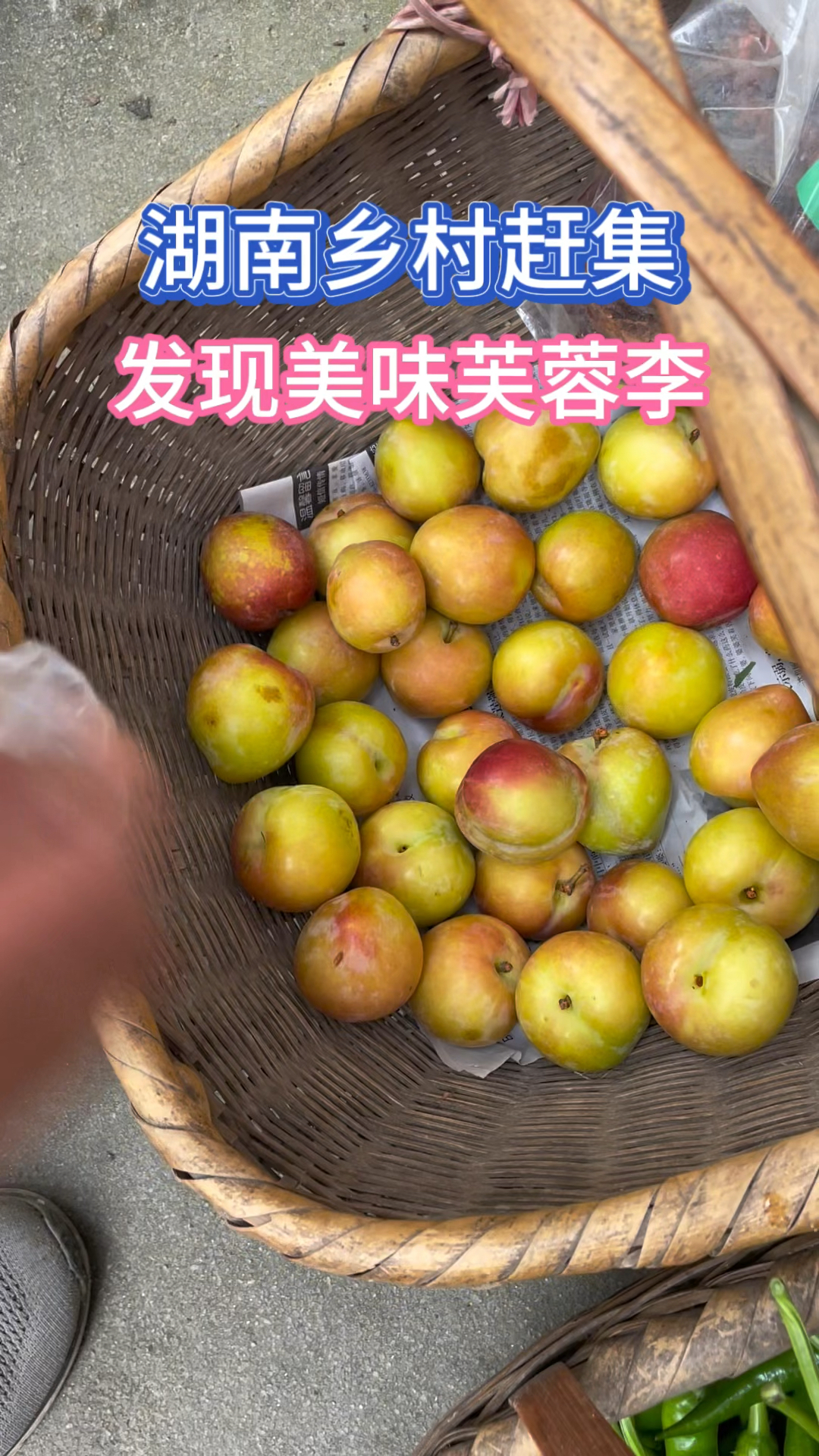 去湖南株洲炎陵乡下赶集,发现美味芙蓉李,香甜可口太好吃了