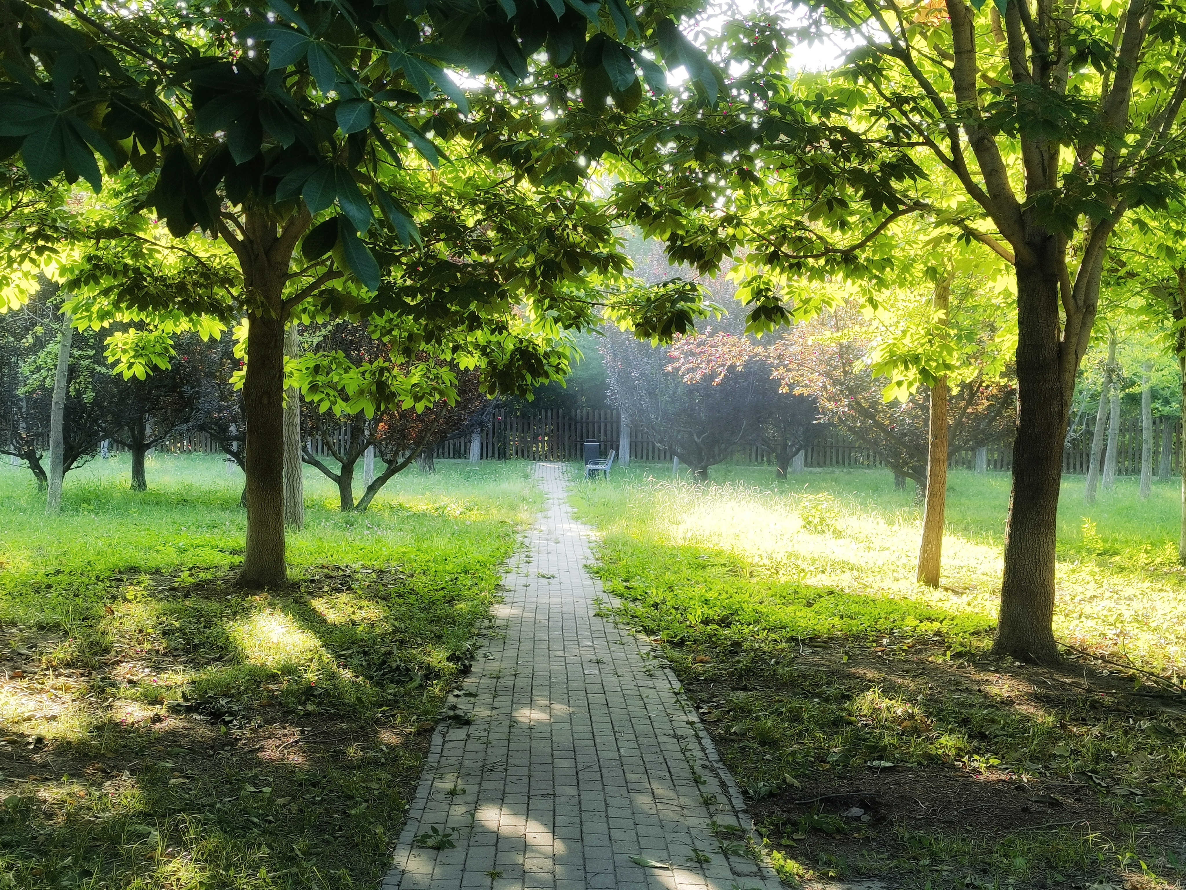 永泰自在香山图片