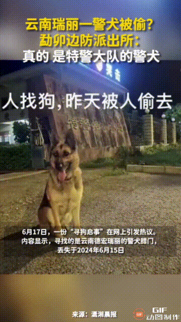 厕所警犬