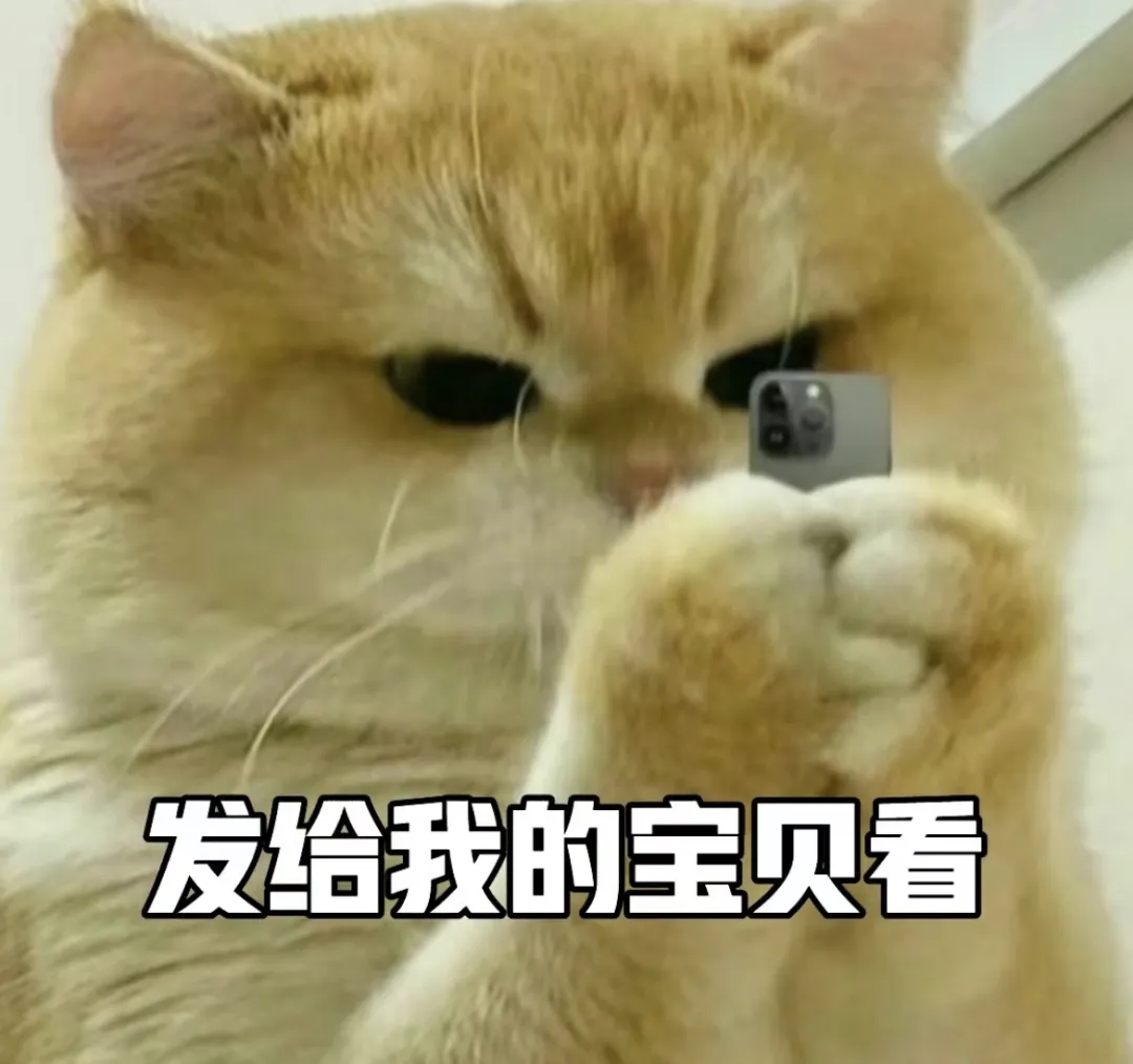 猫甩兔耳朵表情包图片