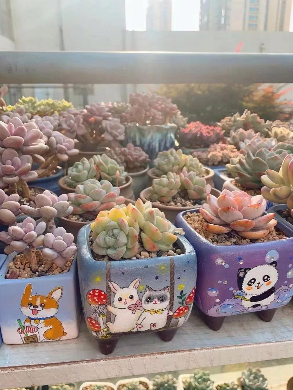 时光漫过清和初夏 可忆事怀旧 也可心有遗憾 愿有缺也安 知足常乐  终