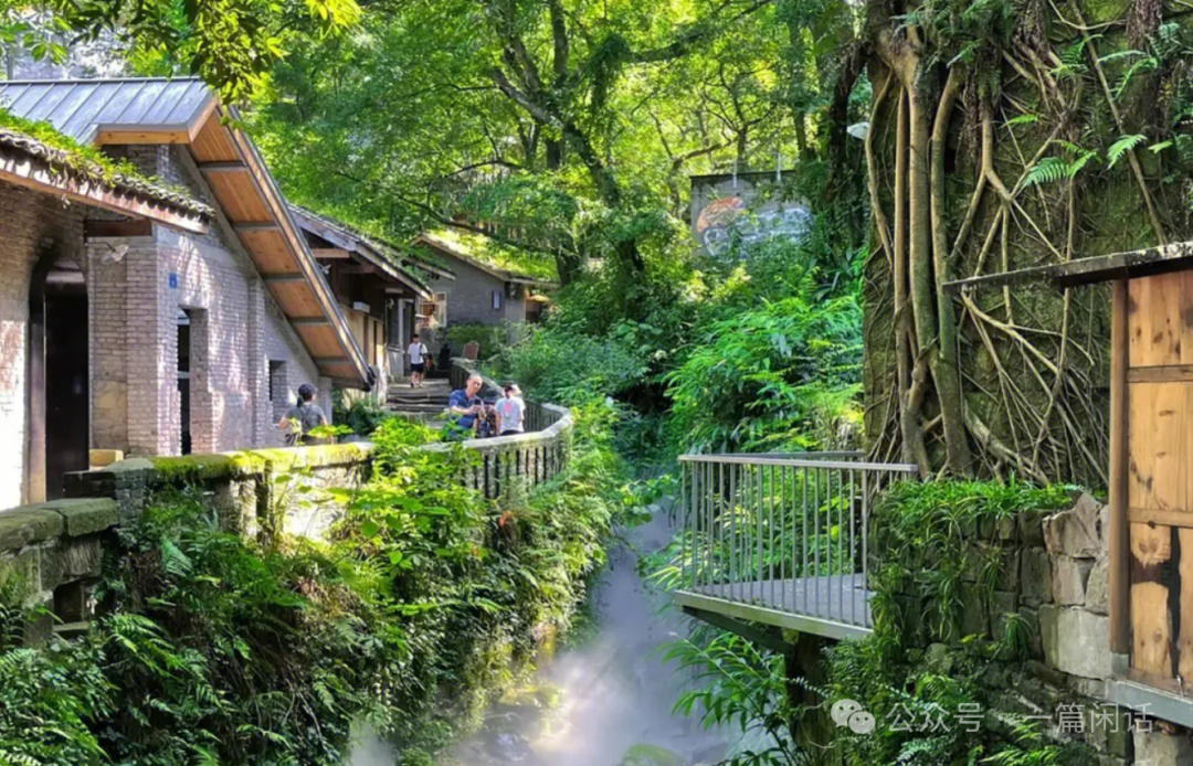 北碚区十大最值得去的景点,看看你去过几处