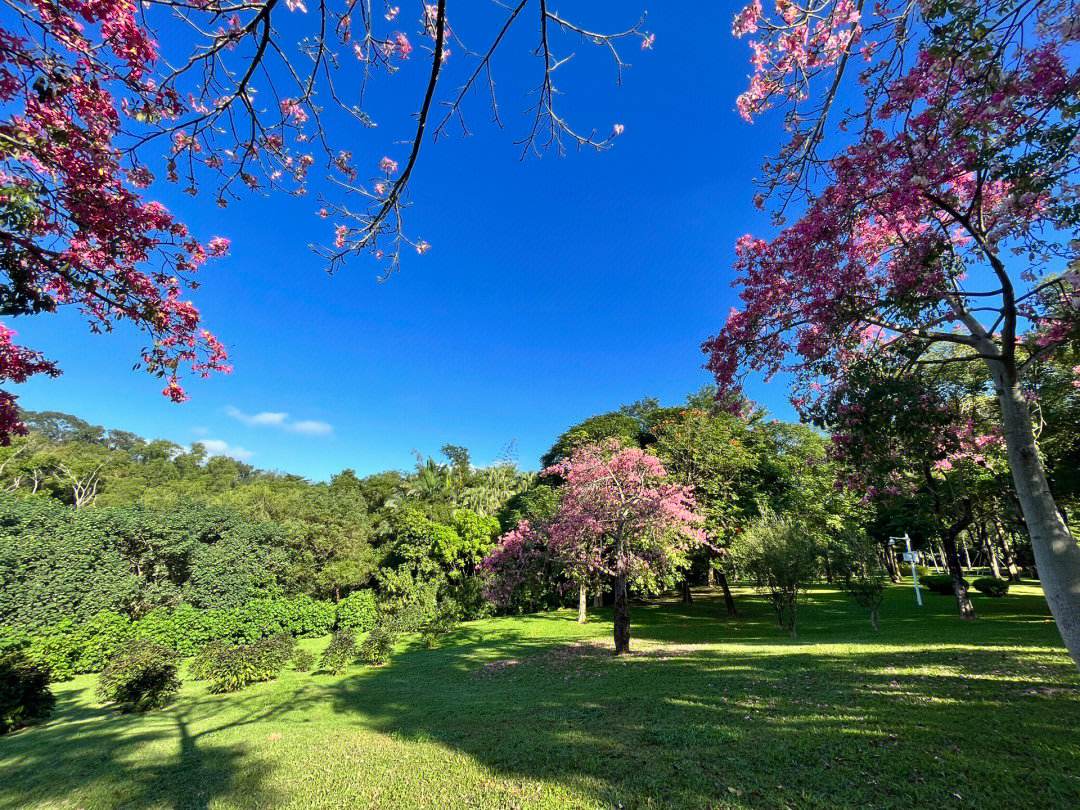 深圳笔架山风景区图片图片