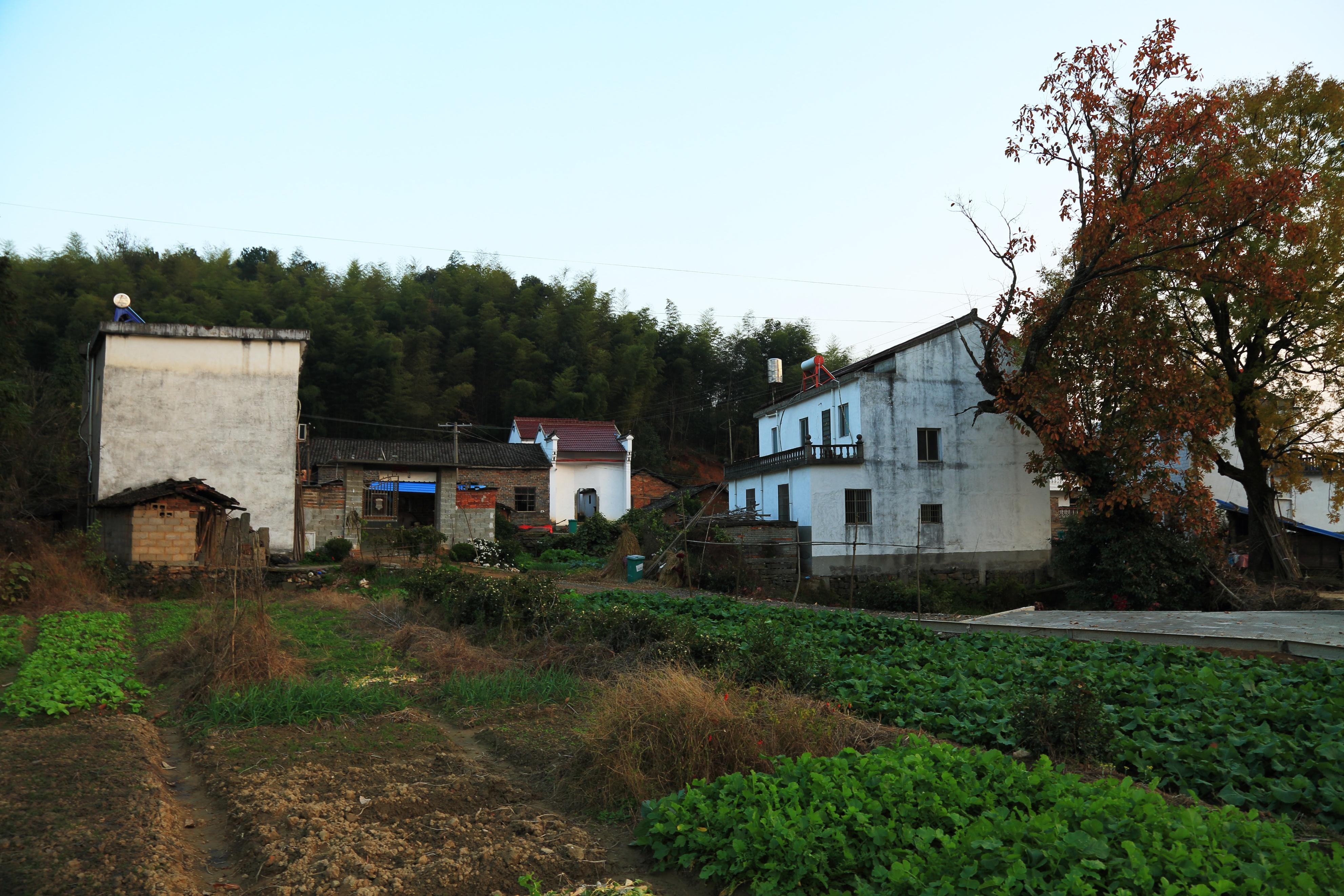 2011年老人去世,两年后银行告他欠债5万,家属质问:天地银行吗