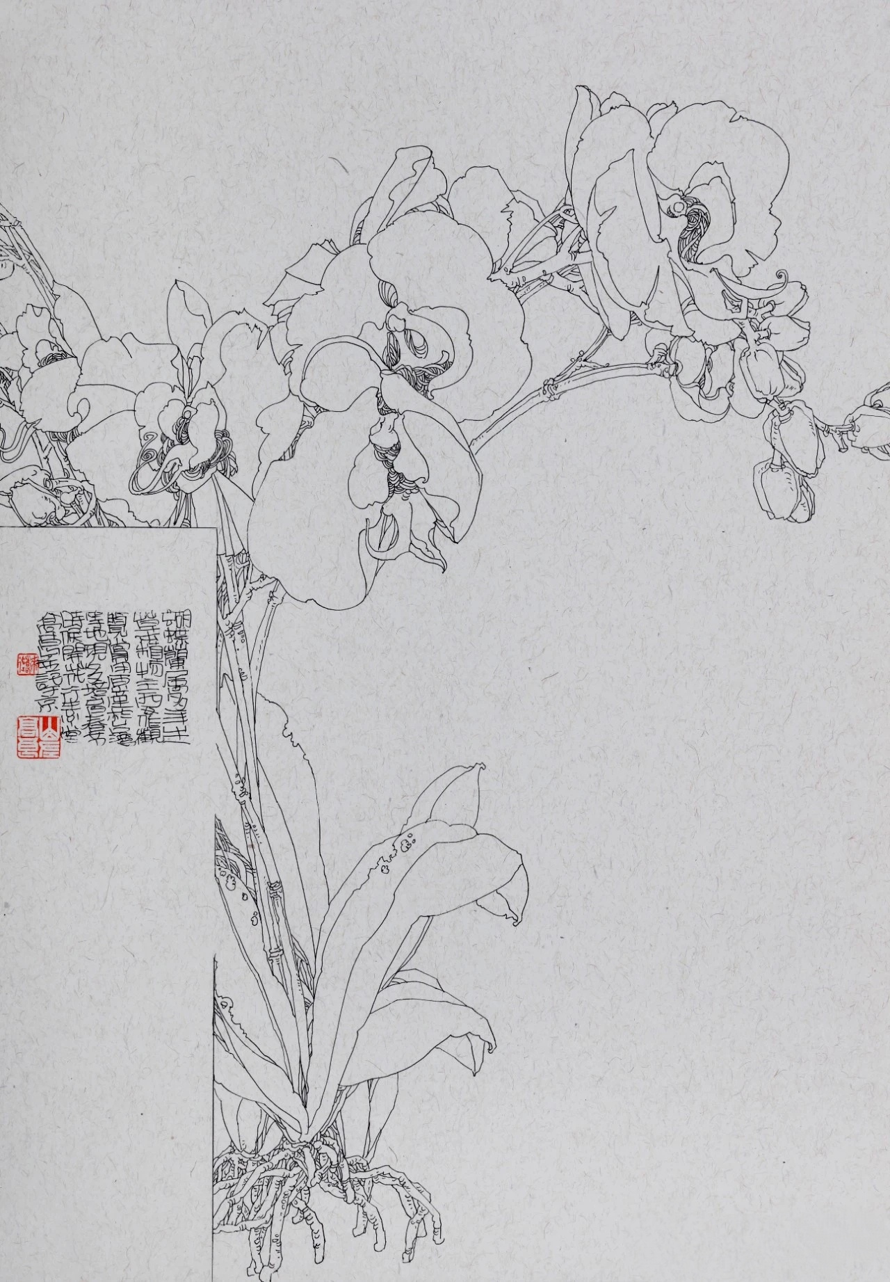 奈何,独自凋零,随那些落寞,飘落在尘封的记忆里,——高良白描写生作品