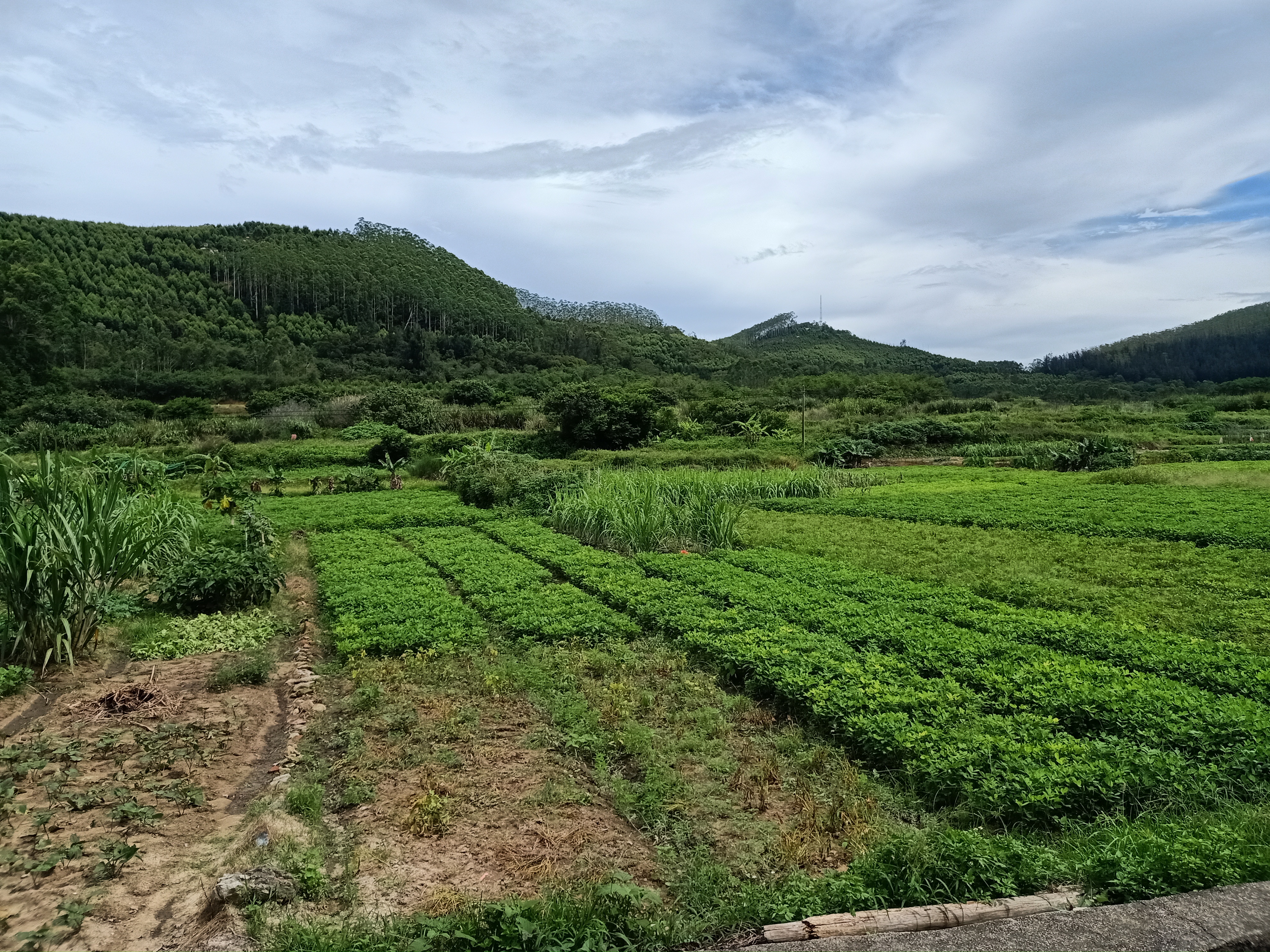 陈姓图片 壁纸图片