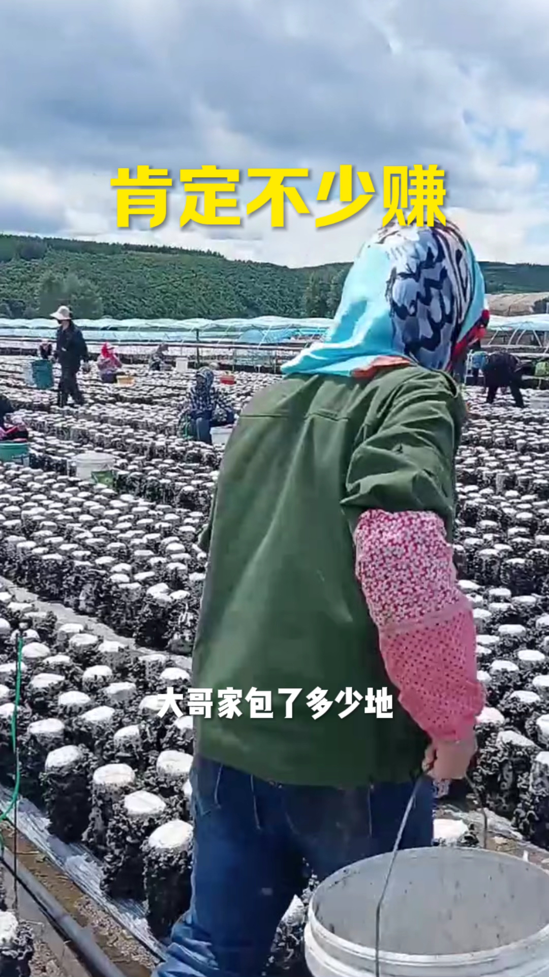 这是木耳吧,这么多人干活,肯定不少赚.-度小视