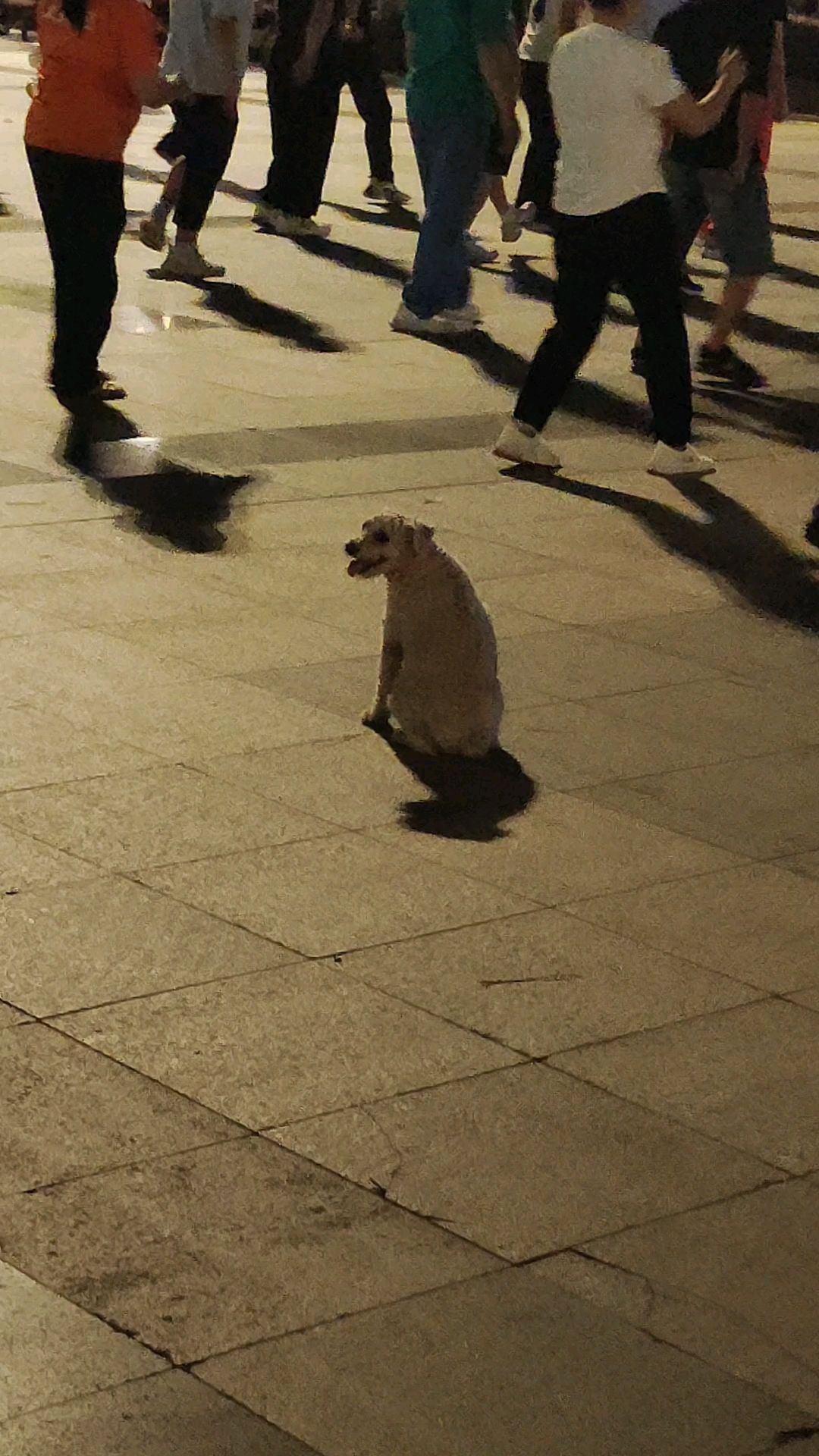 原地蹲跳图片